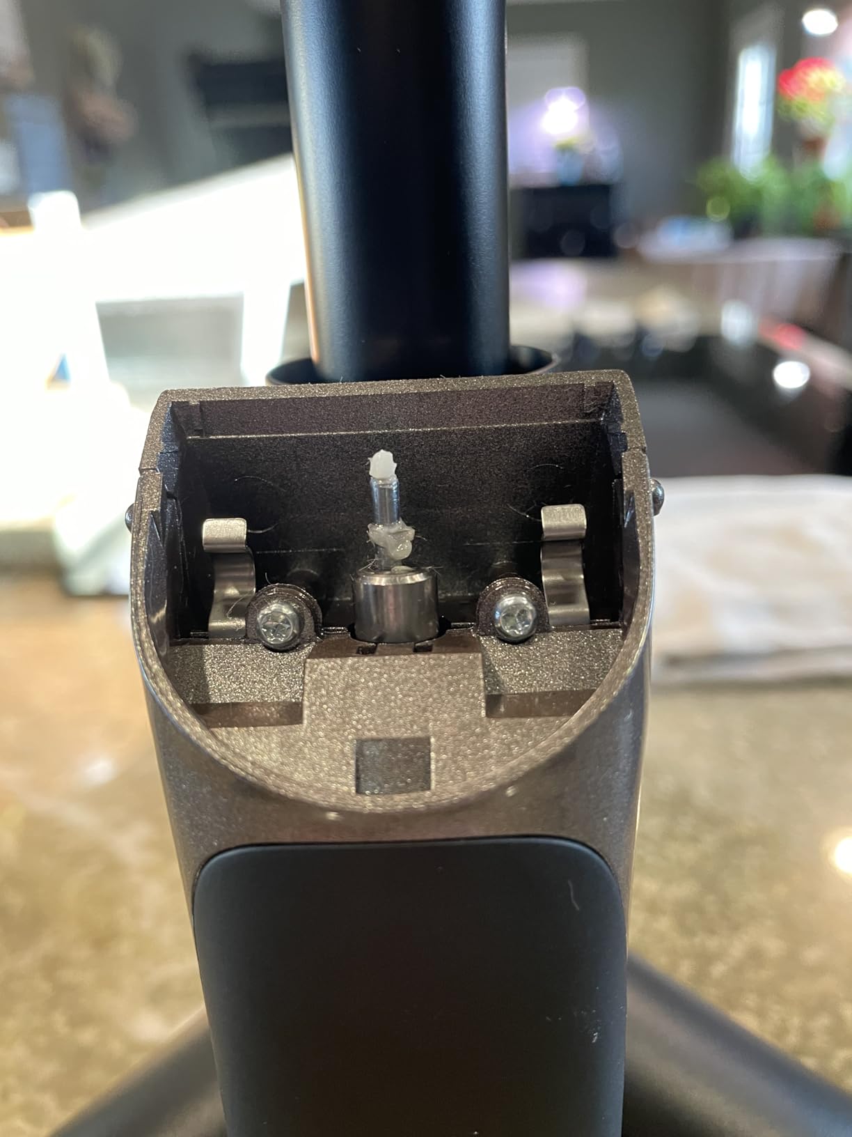 Wahl Professional Animal Bravura Pet, Dog, Cat, and Horse Corded/Cordless Clipper Kit, Gunmetal (#41870-0425) Customer Review Wahl Professional Animal Bravura Pet, Dog, Cat, and Horse Corded/Cordless Clipper Kit, Gunmetal (#41870-0425) - Customer Photo 2