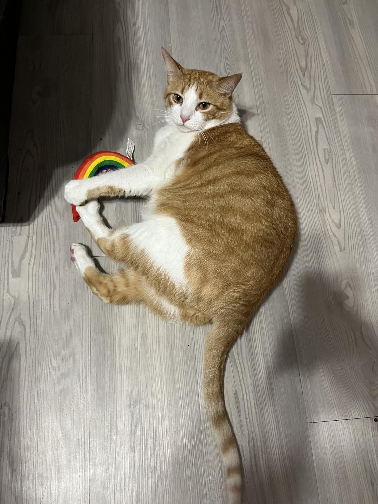 Yeowww! Catnip Toy Variety Pack - Cigar & Banana & Rainbow - Made in USA - Customer Photo 1