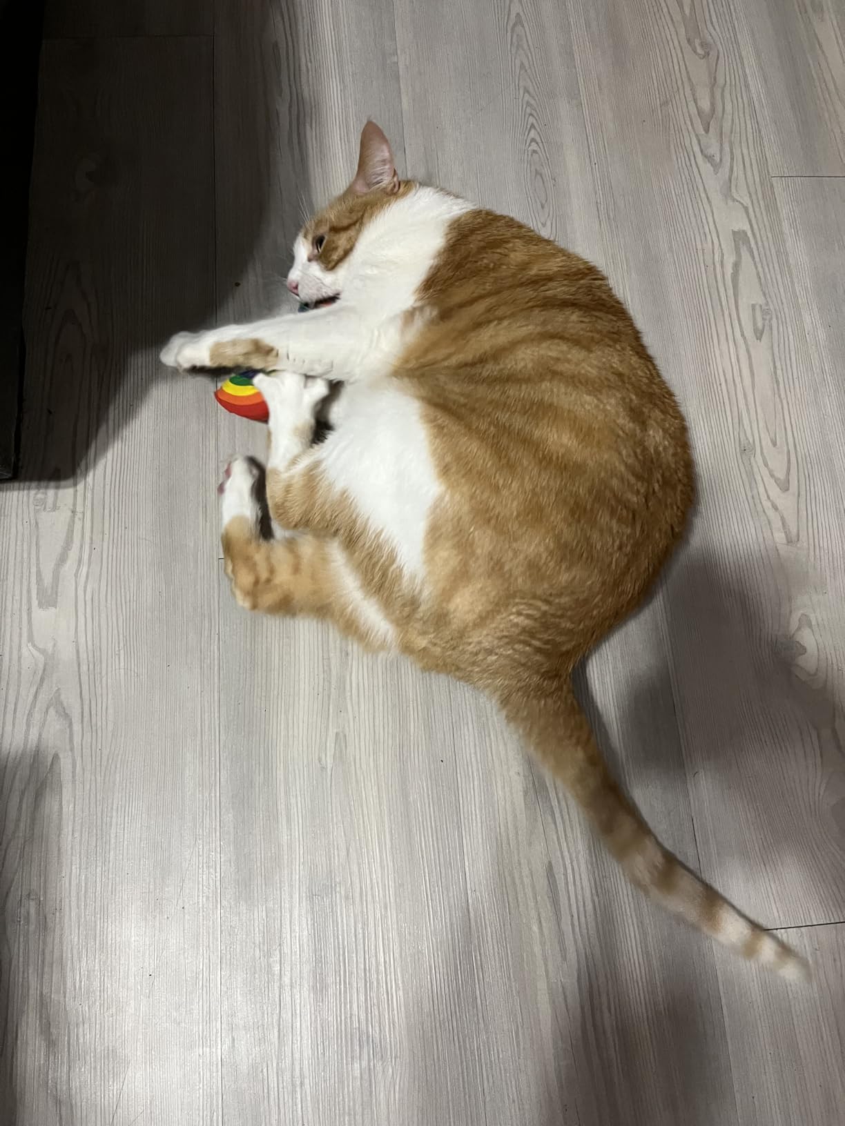 Yeowww! Catnip Toy Variety Pack - Cigar & Banana & Rainbow - Made in USA - Customer Photo 2