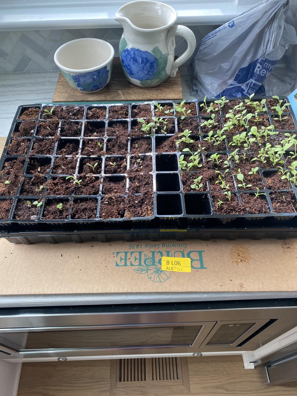 Burpee Self-Watering Seed Starter Tray, 72 Cells - Customer Photo 1