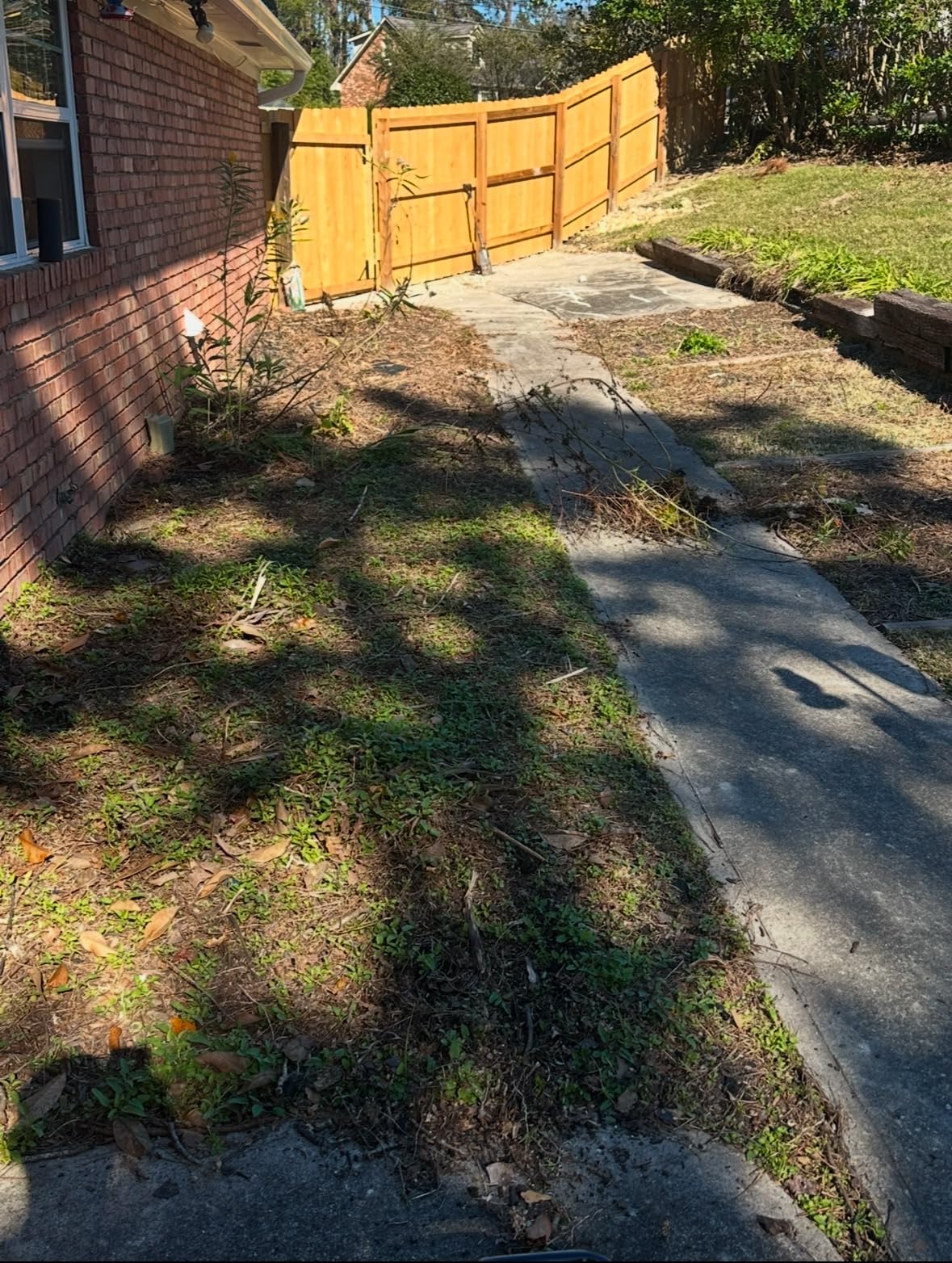 LawnMaster TE1216M Electric Tiller 12-Amp, 16-Inch customer photo 1