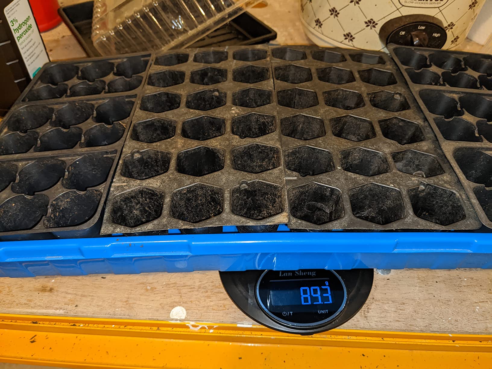 Bootstrap Farmer 72 Cell Seed Starter Tray - Extra Strength Starting Trays for 1020 Planting Seedlings, Propagation, Germination Plug Station (5) - Customer Photo 1