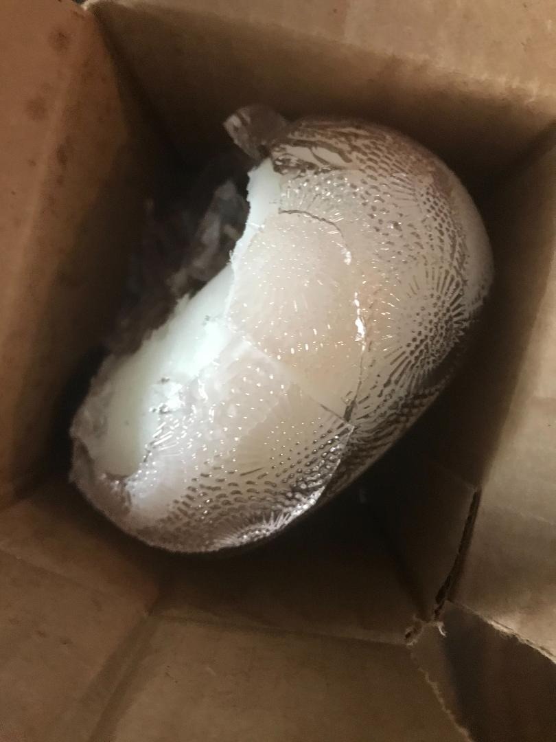 Voluspa Mokara, Glass Chawan Bowl Candle, 14 oz, 50 Hour Burn Time, Coconut Wax for Clean Burning, Handcrafted in the USA - Customer Photo 4
