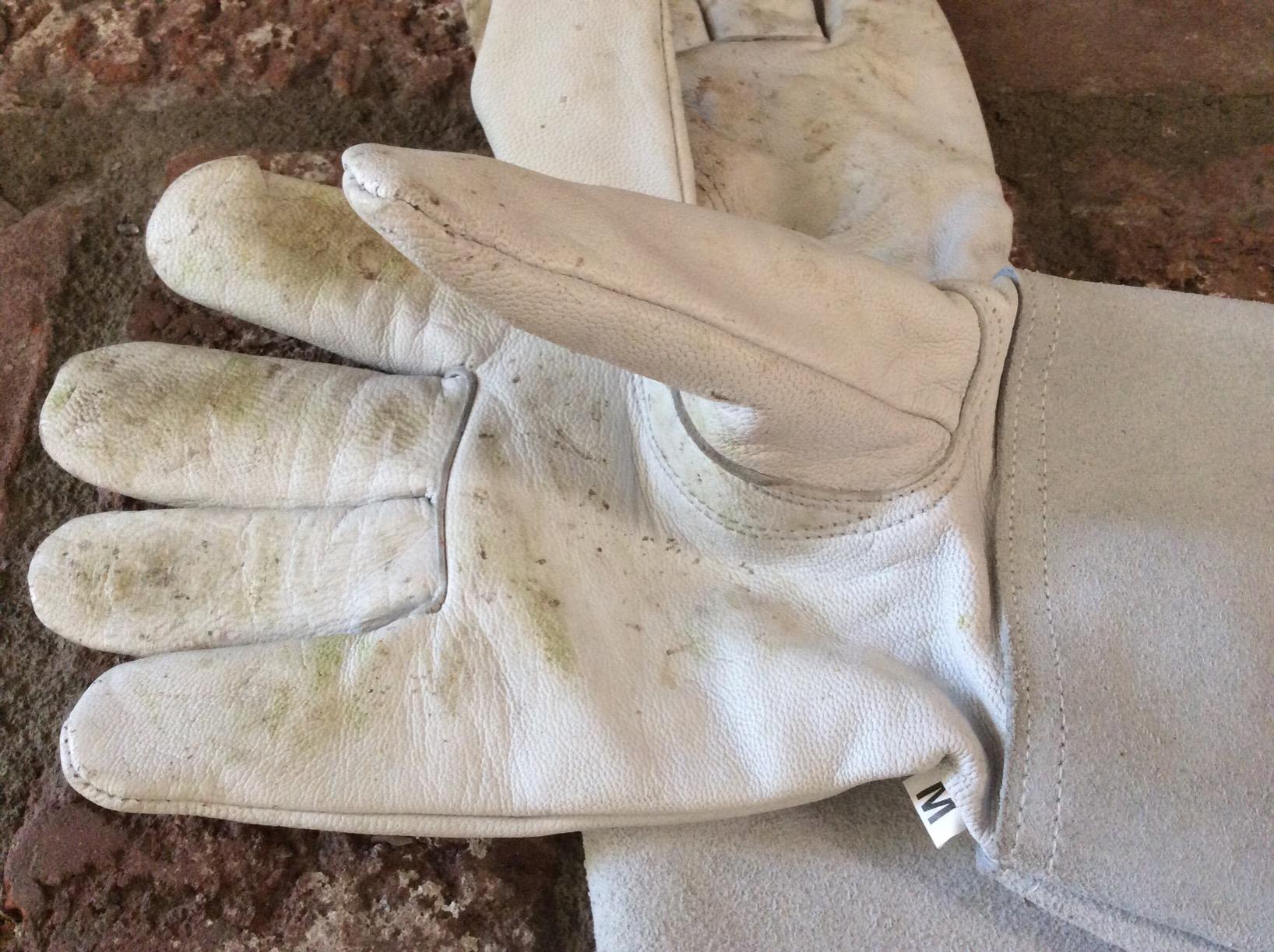 Leather Gardening Gloves for Women & Men, Long Garden Gloves, Cowhide Gauntlet Rose Pruning Thorn Resistant, Forearm Protection Customer Review Leather Gardening Gloves for Women & Men, Long Garden Gloves, Cowhide Gauntlet Rose Pruning Thorn Resistant, Forearm Protection - Customer Photo 1