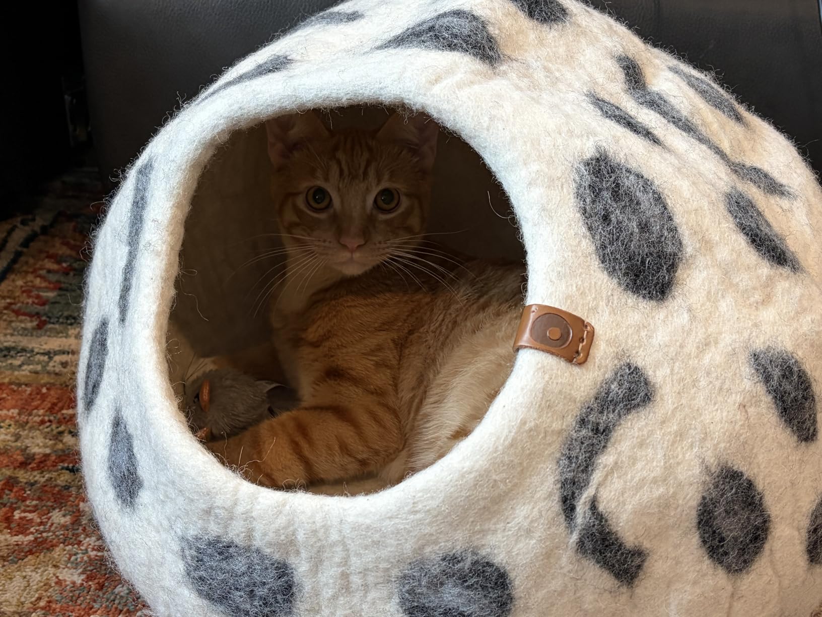 MEOWFIA Cat Cave – Premium Felt Cat Bed for Indoor Cats, Handmade Merino Wool (Light Grey, Large) Customer Review MEOWFIA Cat Cave – Premium Felt Cat Bed for Indoor Cats, Handmade Merino Wool (Light Grey, Large) - Customer Photo 2