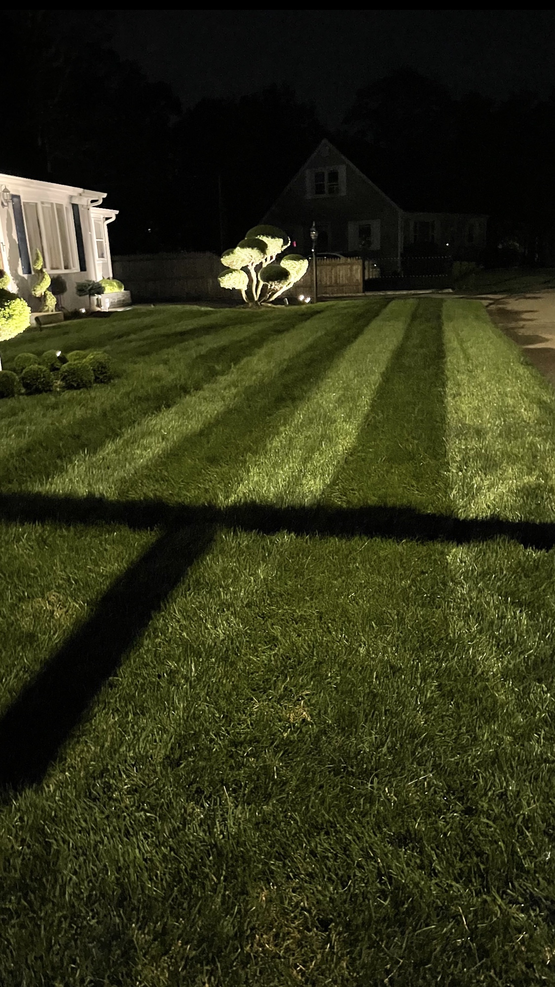 Liquid Soil Loosener- Soil Conditioner-Use alone or when Aerating with Mechanical Aerator or Core Aeration- Simple Lawn Solutions- Any Grass Type-Great for Compact Soils, Standing water, Poor Drainage customer photo 1