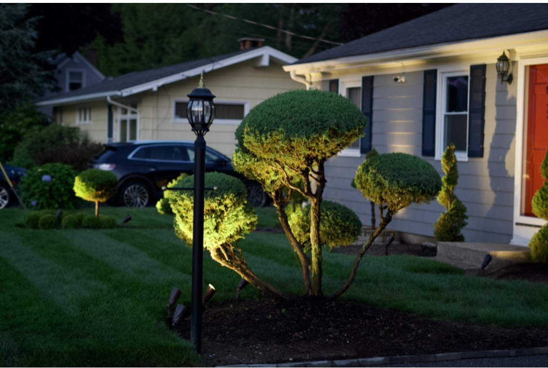 Liquid Soil Loosener- Soil Conditioner-Use alone or when Aerating with Mechanical Aerator or Core Aeration- Simple Lawn Solutions- Any Grass Type-Great for Compact Soils, Standing water, Poor Drainage customer photo 2