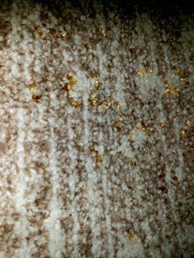 Persian-Rugs Luxe Weavers Rug 6495 – Distressed Floral Area Rug - Customer Photo 1