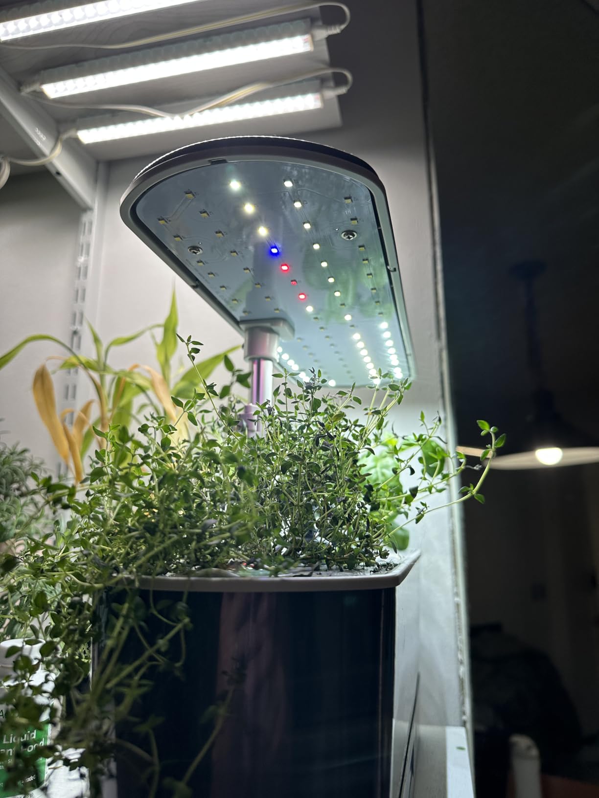 AeroGarden Harvest Elite Indoor Garden Hydroponic System with LED Grow Light and Seed Kit, Holds up to 6 Pods, Stainless Steel - Customer Photo 1