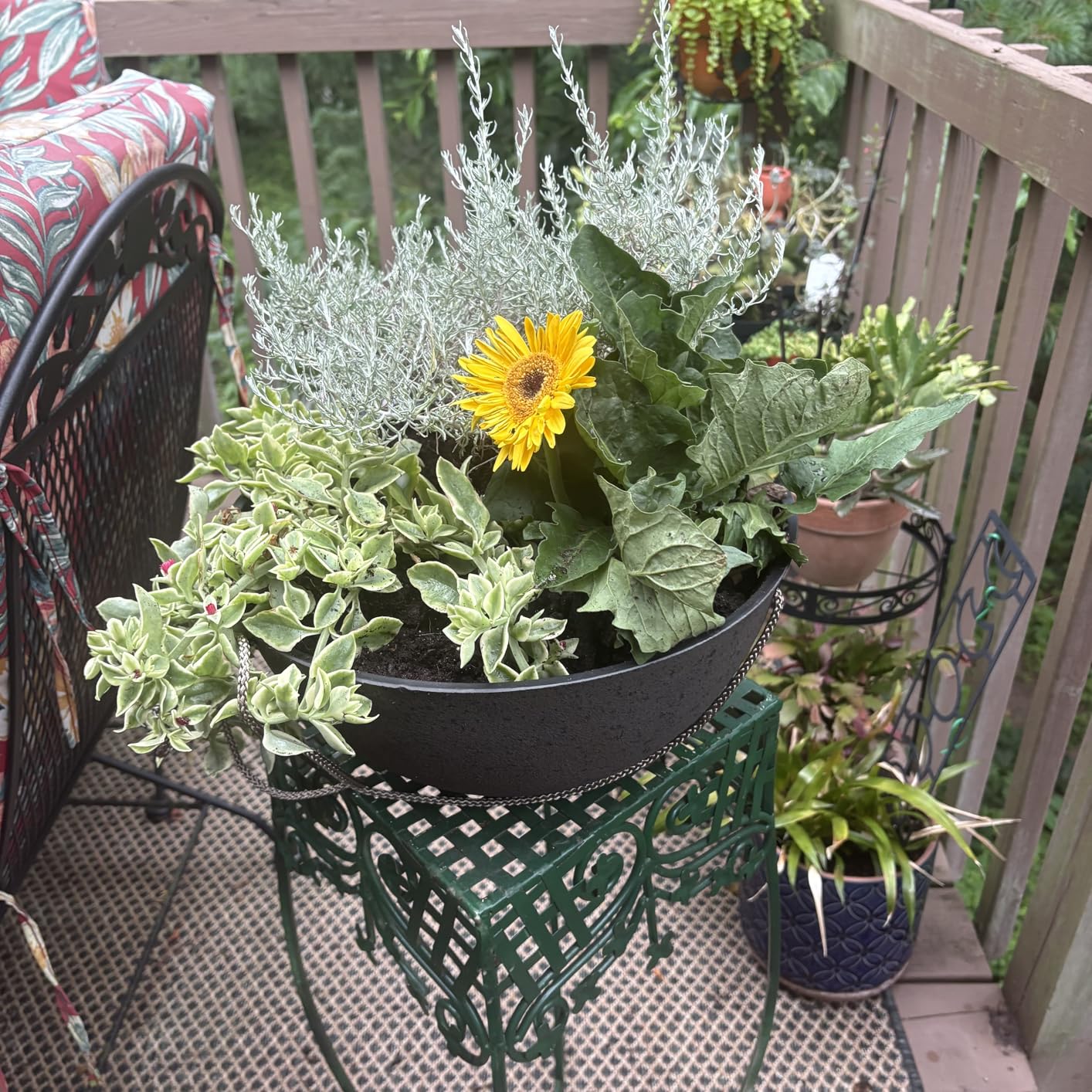 LA JOLIE MUSE Hanging Planter Flower Plant Pots - 9.84 Inch Indoor Outdoor Balcony Patio Hanging Basket Set of 2, Marble Pattern Customer Review LA JOLIE MUSE Hanging Planter Flower Plant Pots - 9.84 Inch Indoor Outdoor Balcony Patio Hanging Basket Set of 2, Marble Pattern - Customer Photo 1