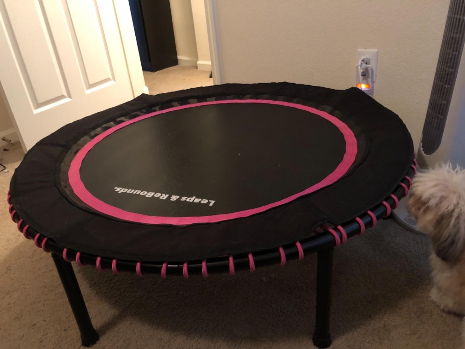 Leaps and Rebounds Fitness Trampoline, 48 or 40-inch Adults and Kids Rebounder for Indoor and Outdoor, Up to 270 lbs, Low Impact Cardio and Easy Home Workout - Customer Photo 2