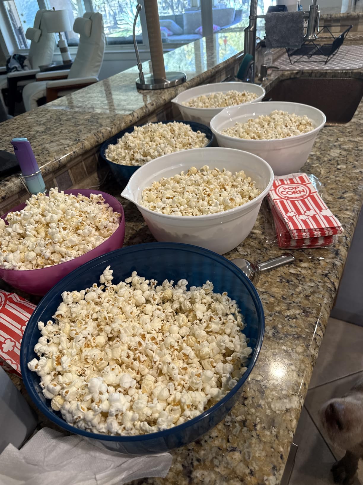 DASH Fresh Pop Popcorn Maker - Oil-Free, Air Popcorn Popper - With Measuring Cup & Recipe Guide - Perfect for Movie Nights - 16 Cups, Aqua - Customer Photo 1