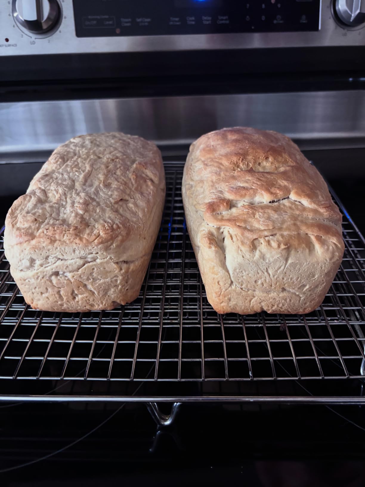 SILIVO Silicone Bread and Loaf Pans (2 Pack) - Nonstick Silicone Baking Mold for Homemade Loaf, Bread and Meatloaf - 8.9x3.7x2.5 inch - Customer Photo 1