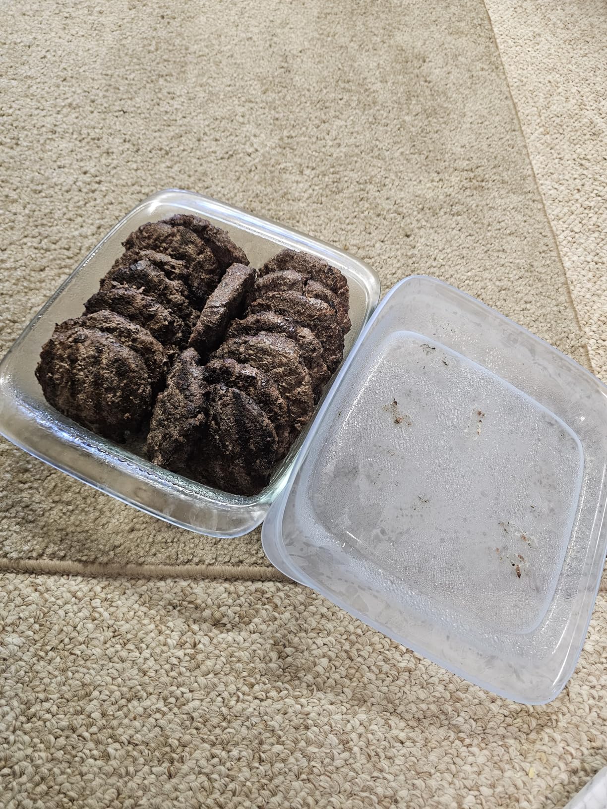 OXO Good Grips GLASS LOAF PAN WITH LID - Customer Photo 2