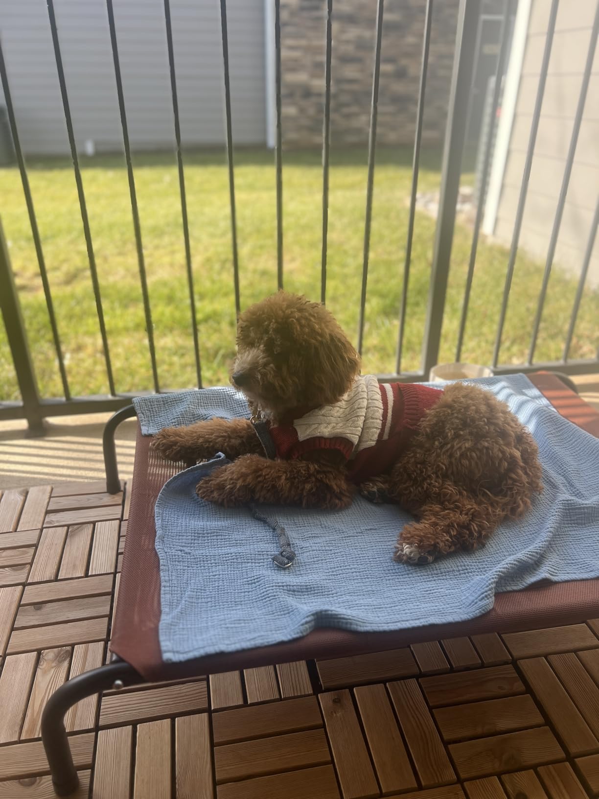 Bedsure Outdoor Elevated Dog Bed Large Sized Dog, Portable Indoor & Outdoor Cooling Raised Cot Pet Hammock Bed with Skid-Resistant Feet, Frame with Breathable Mesh, Grey, 49 inches Customer Review Bedsure Outdoor Elevated Dog Bed Large Sized Dog, Portable Indoor & Outdoor Cooling Raised Cot Pet Hammock Bed with Skid-Resistant Feet, Frame with Breathable Mesh, Grey, 49 inches - Customer Photo 1