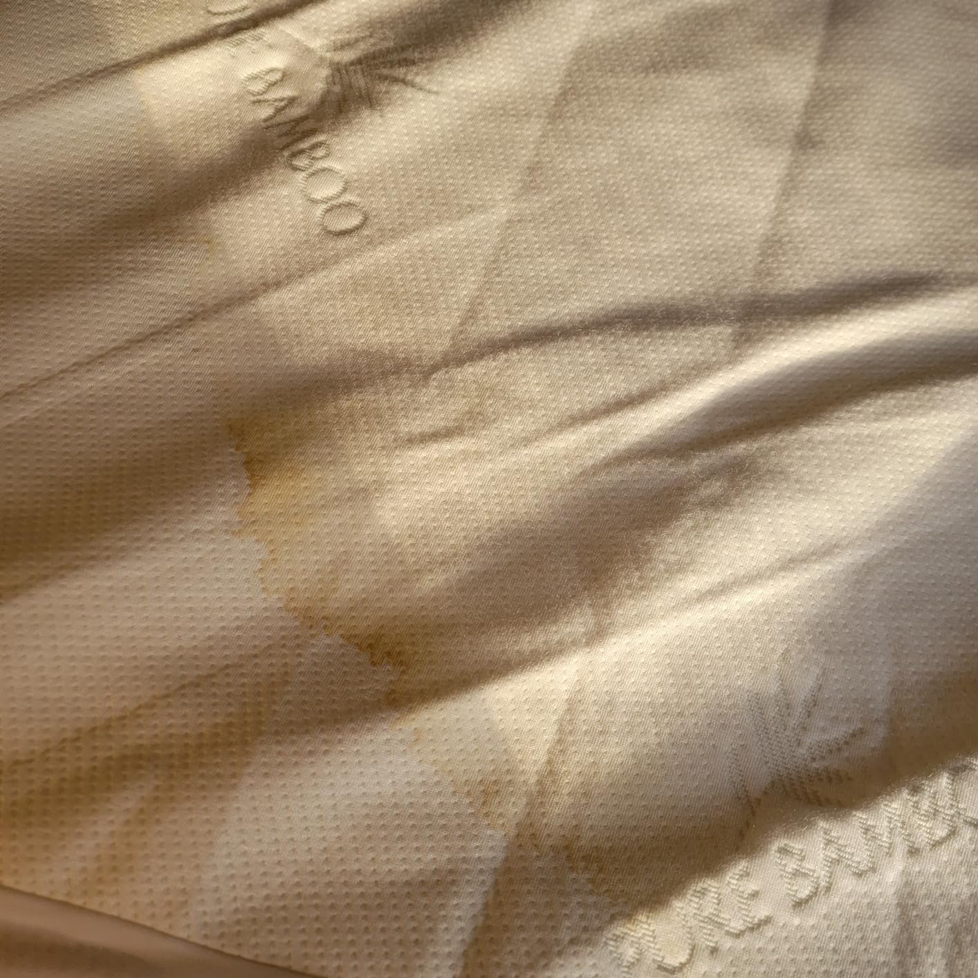 Queen Mattress Protector by PURE BAMBOO, Waterproof - Viscose Derived from Bamboo, Breathable, Noiseless Mattress Cover Protects Against Moisture, Spills, Stains (Queen) - Customer Photo 2