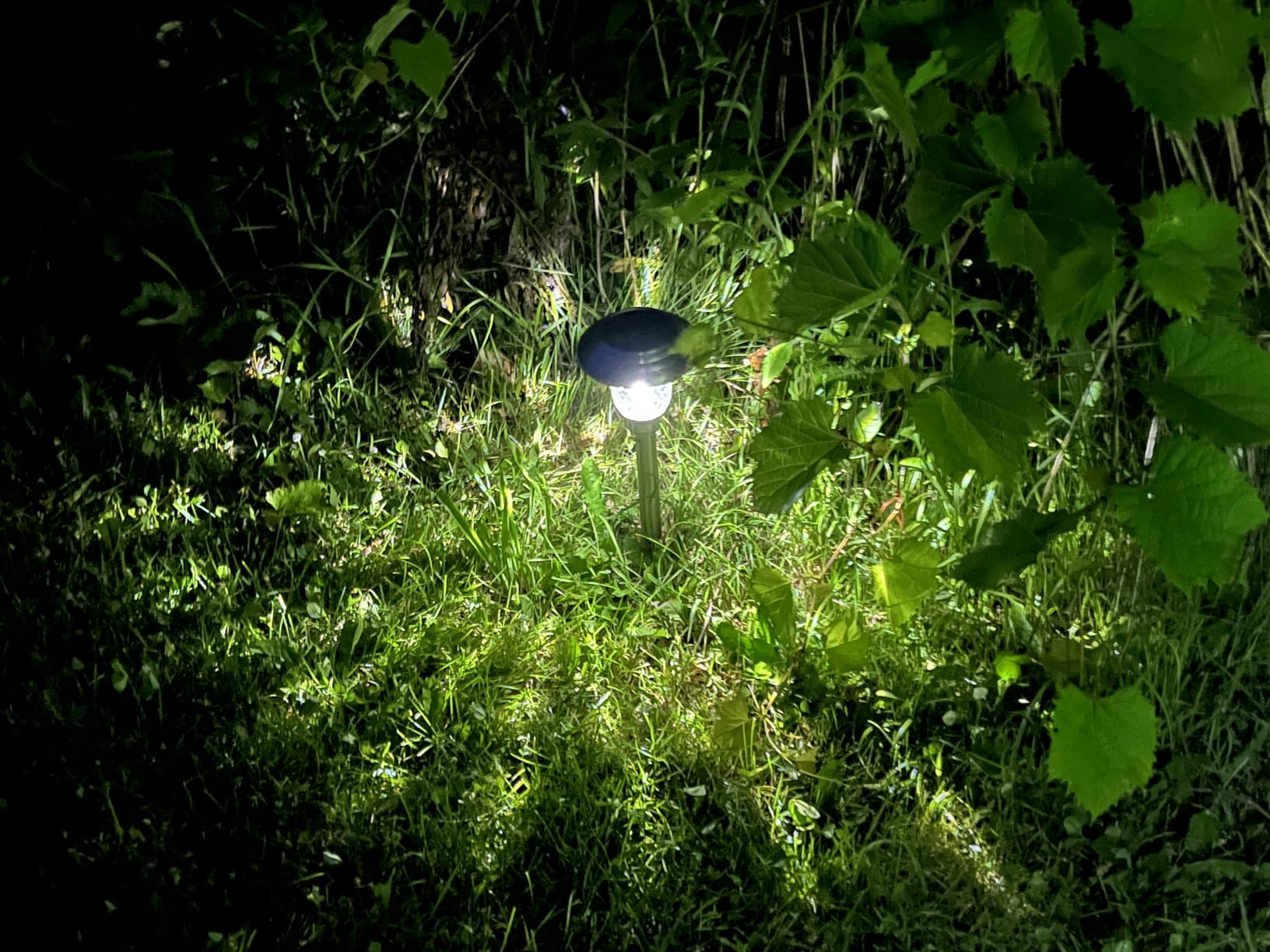 GIGALUMI 8 Pack Solar Pathway Lights, Solar Garden Lights Outdoor Warm White, Waterproof Led Path Lights for Yard, Patio, Landscape, Walkway (Brown) - Customer Photo 2