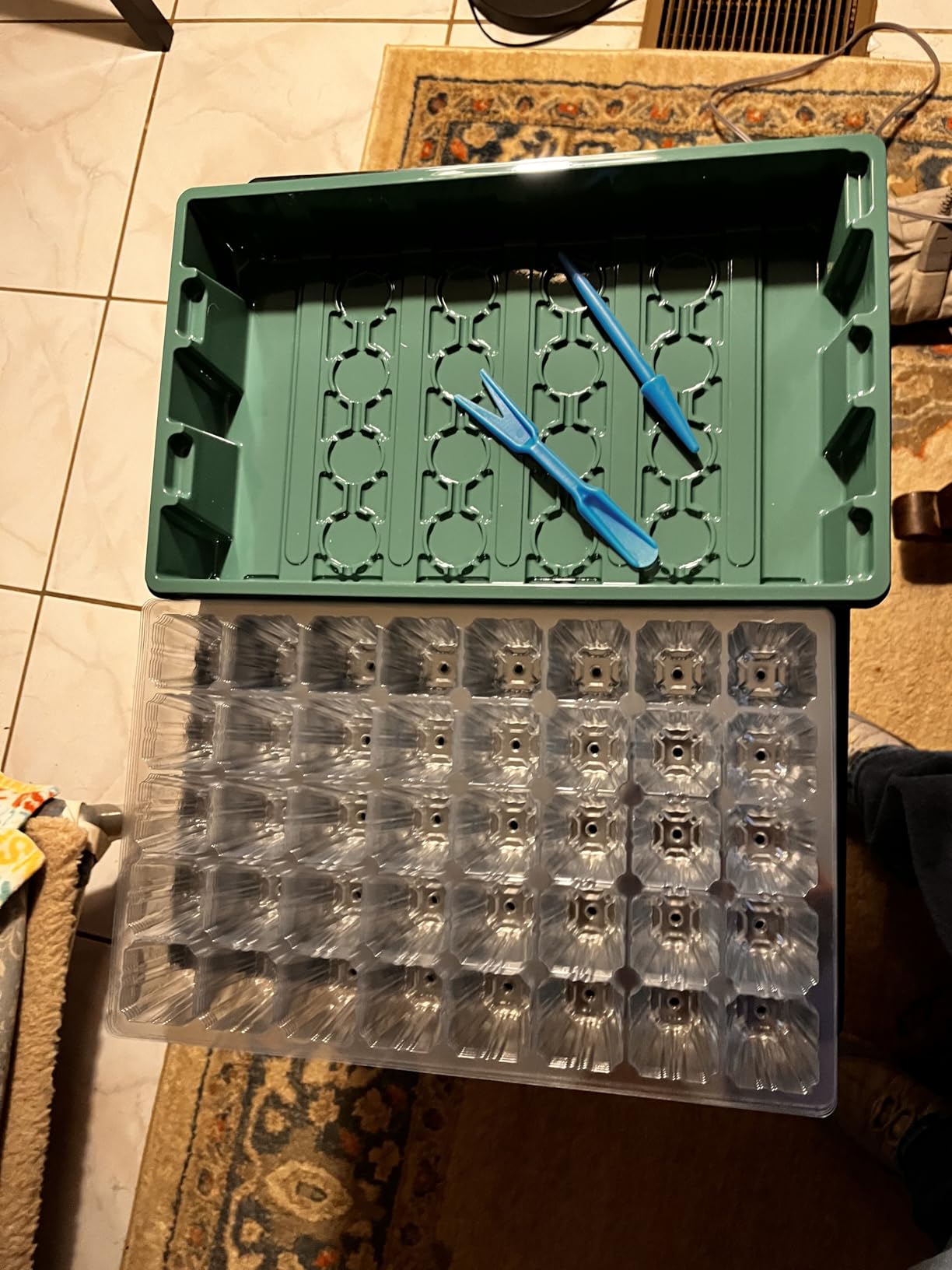 MIXC Seedling Trays Seed Starter Tray, 5-Pack Mini Propagator Plant Greenhouse Grow Kit with Humidity Vented Domes and Base for Seeds' Starting (40 Cells Per Tray, Total 200 Cells), Green - Customer Photo 1