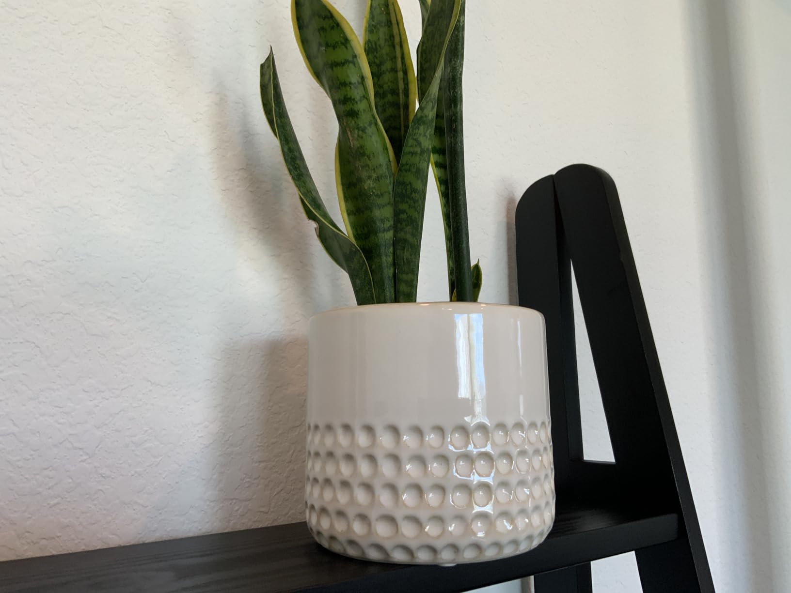 La Jolie Muse Ceramic Planter Flower Plant Pots- 6.7+5.5 Inch Concave Dot Patterned Cylinder Flower Pot W/ Drain Hole for Indoor, Set of 2, Ivory Customer Review La Jolie Muse Ceramic Planter Flower Plant Pots- 6.7+5.5 Inch Concave Dot Patterned Cylinder Flower Pot W/ Drain Hole for Indoor, Set of 2, Ivory - Customer Photo 2