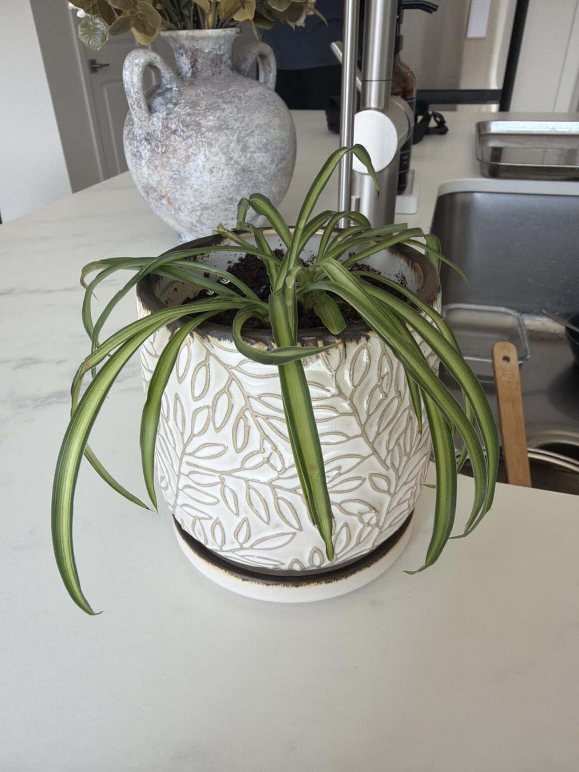 D'vine Dev 4 Inch Embossed Leaves Stoneware Planter Pot with Drainage Hole and Saucer, Smoked White, Set of 1 Customer Review Best Planters