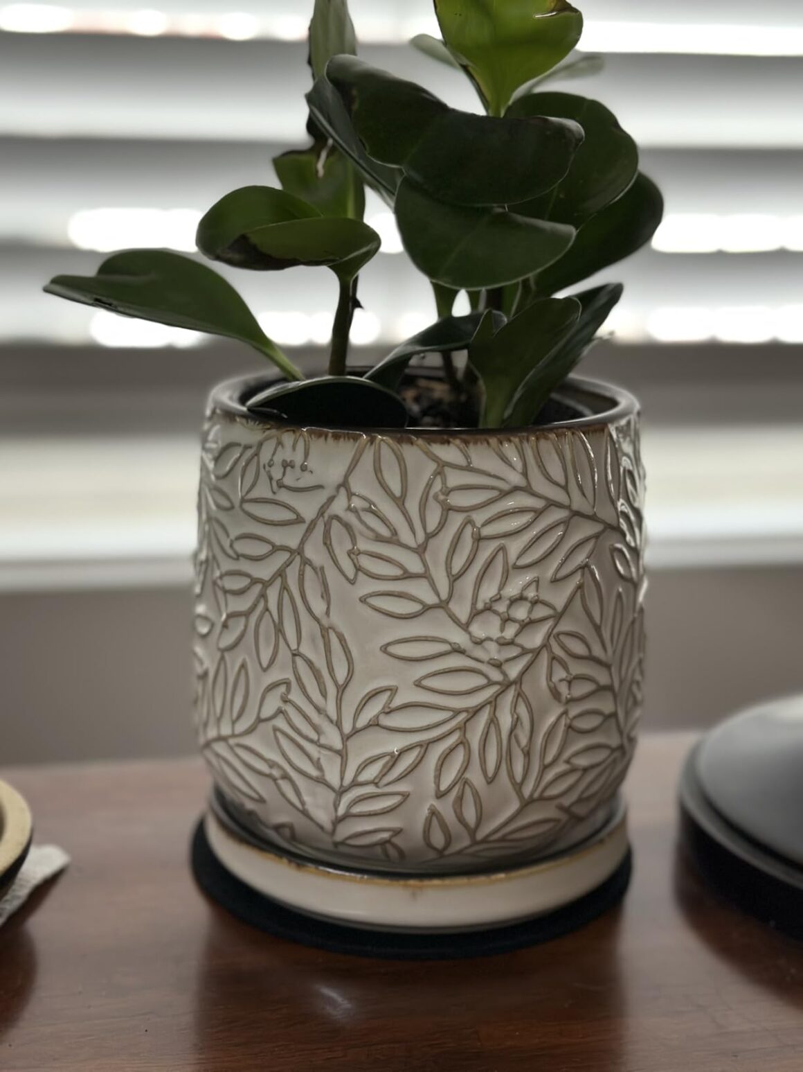 D'vine Dev 4 Inch Embossed Leaves Stoneware Planter Pot with Drainage Hole and Saucer, Smoked White, Set of 1 Customer Review Best Planters