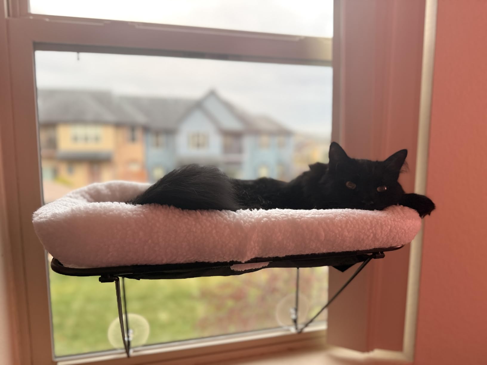 Zakkart Cat Window Perch - 100% Metal Supported from Below - Comes with Warm Spacious Pet Bed - Cat Window Hammock for Large Cats & Kittens - for Sunbathing, Napping & Overlooking (White) customer photo 2