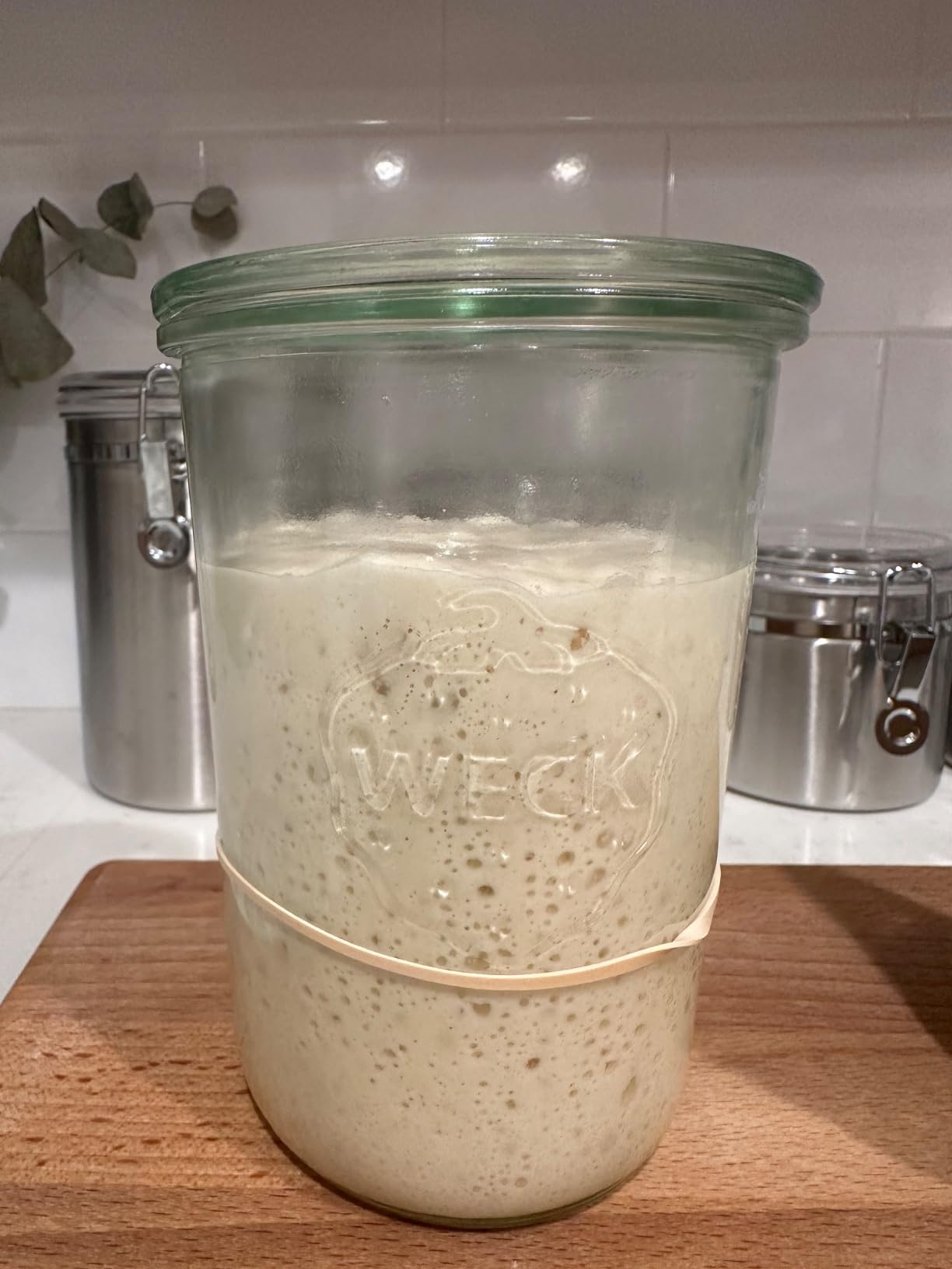 WECK 743 Mold Jar - Sourdough Starter with Wide Mouth - Suitable for Canning and Storage - 2 Sourdough Jars with Glass Lids, Gaskets and Clips - Customer Photo 2