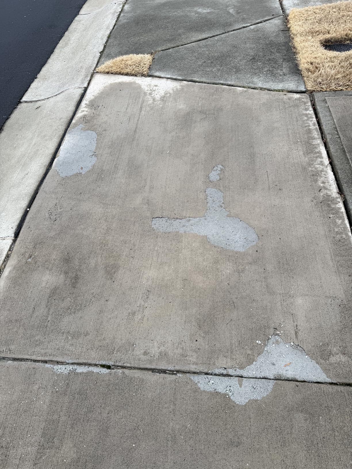 Scotwood Industries 20-Pound Road Runner Premium Ice Melter, New Version Customer Review Scotwood Industries 20-Pound Road Runner Premium Ice Melter, New Version - Customer Photo 2