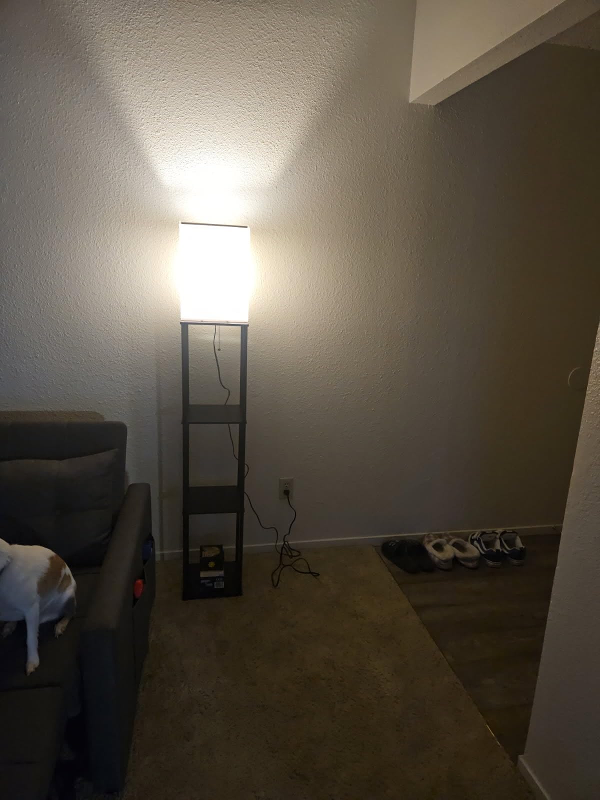 SUNMORY Floor Lamp with Shelves, Modern Square Standing Lamp with 3 Color Temperature Bulb, Corner Display Bookshelf Lamp for Living Room and Bedroom(Black) - Customer Photo 1