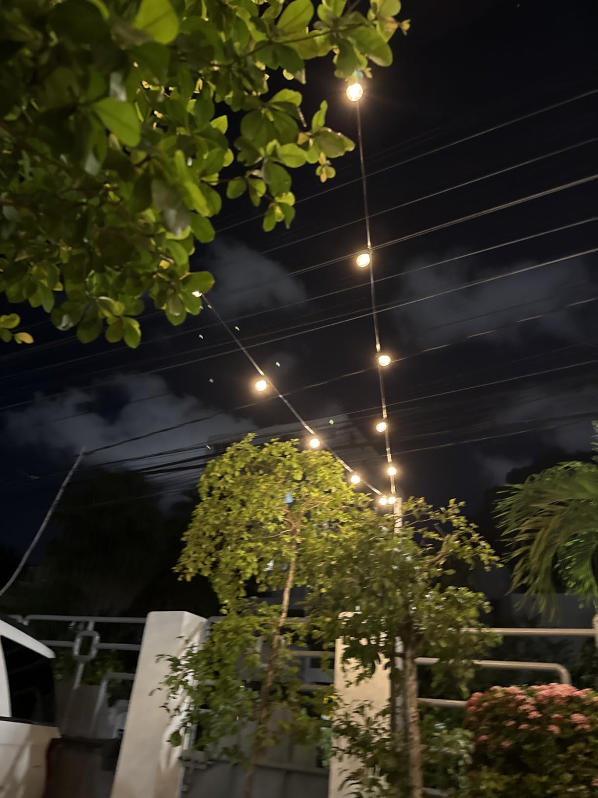 XMCOSY+ Outdoor String Lights, Smart Patio Lights 100Ft Dimmable Outdoor Lights Warm White, 50 G40 LED Bulbs, WiFi String Lights for Outside, Work with Alexa, APP Control, Waterproof Extendable - Customer Photo 1
