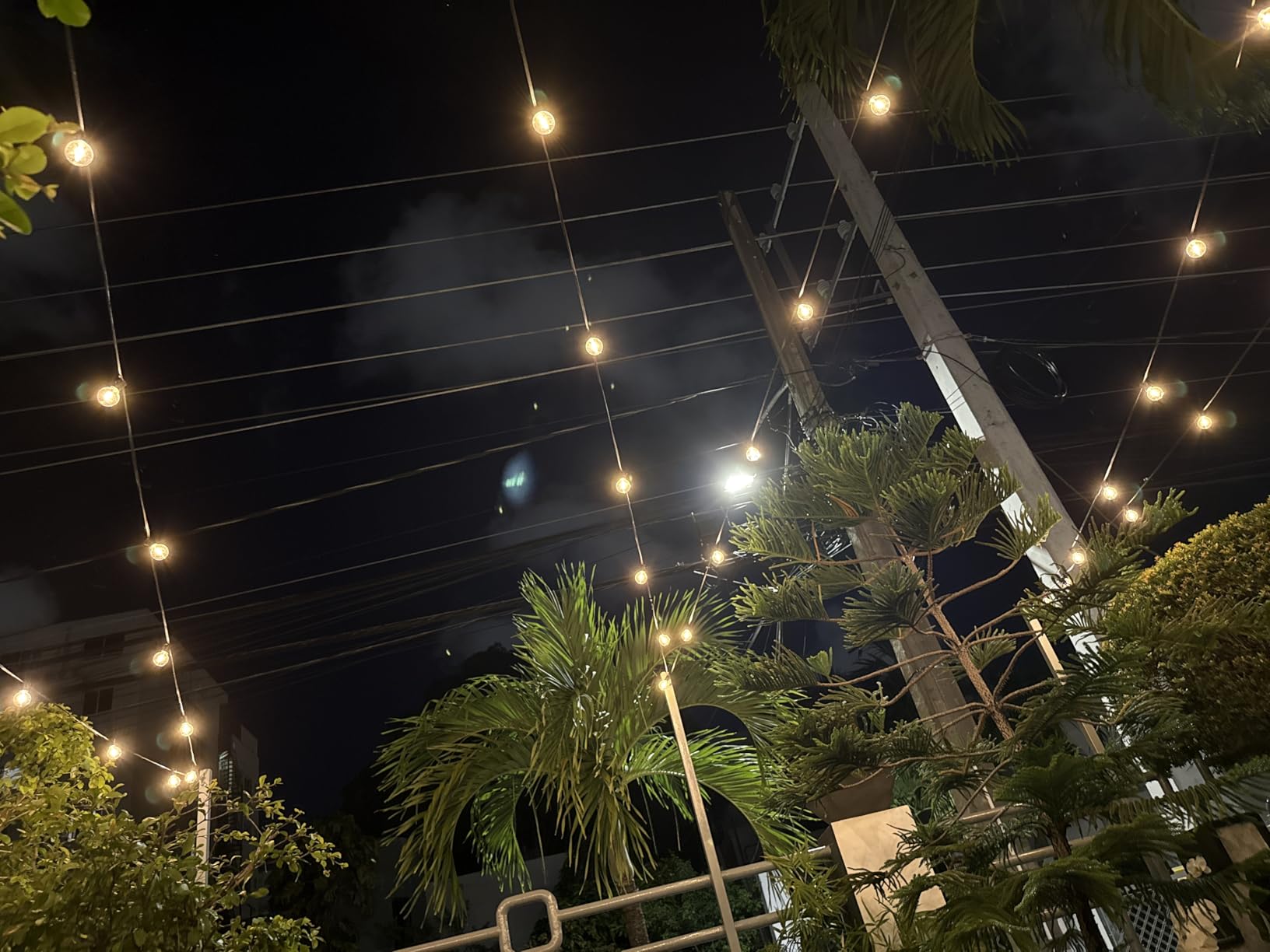 XMCOSY+ Outdoor String Lights, Smart Patio Lights 100Ft Dimmable Outdoor Lights Warm White, 50 G40 LED Bulbs, WiFi String Lights for Outside, Work with Alexa, APP Control, Waterproof Extendable - Customer Photo 2