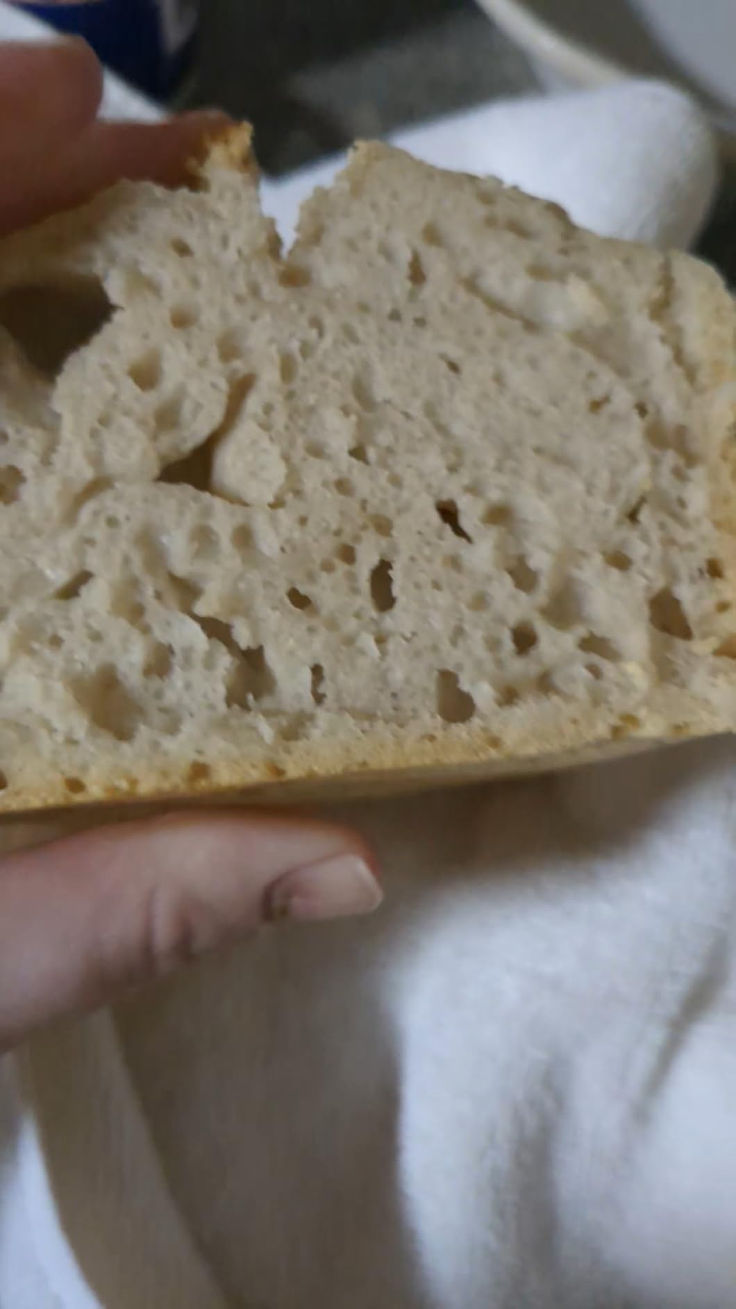 Lodge Cast Iron Loaf Pan 8.5x4.5 Inch, Black - Customer Photo 1
