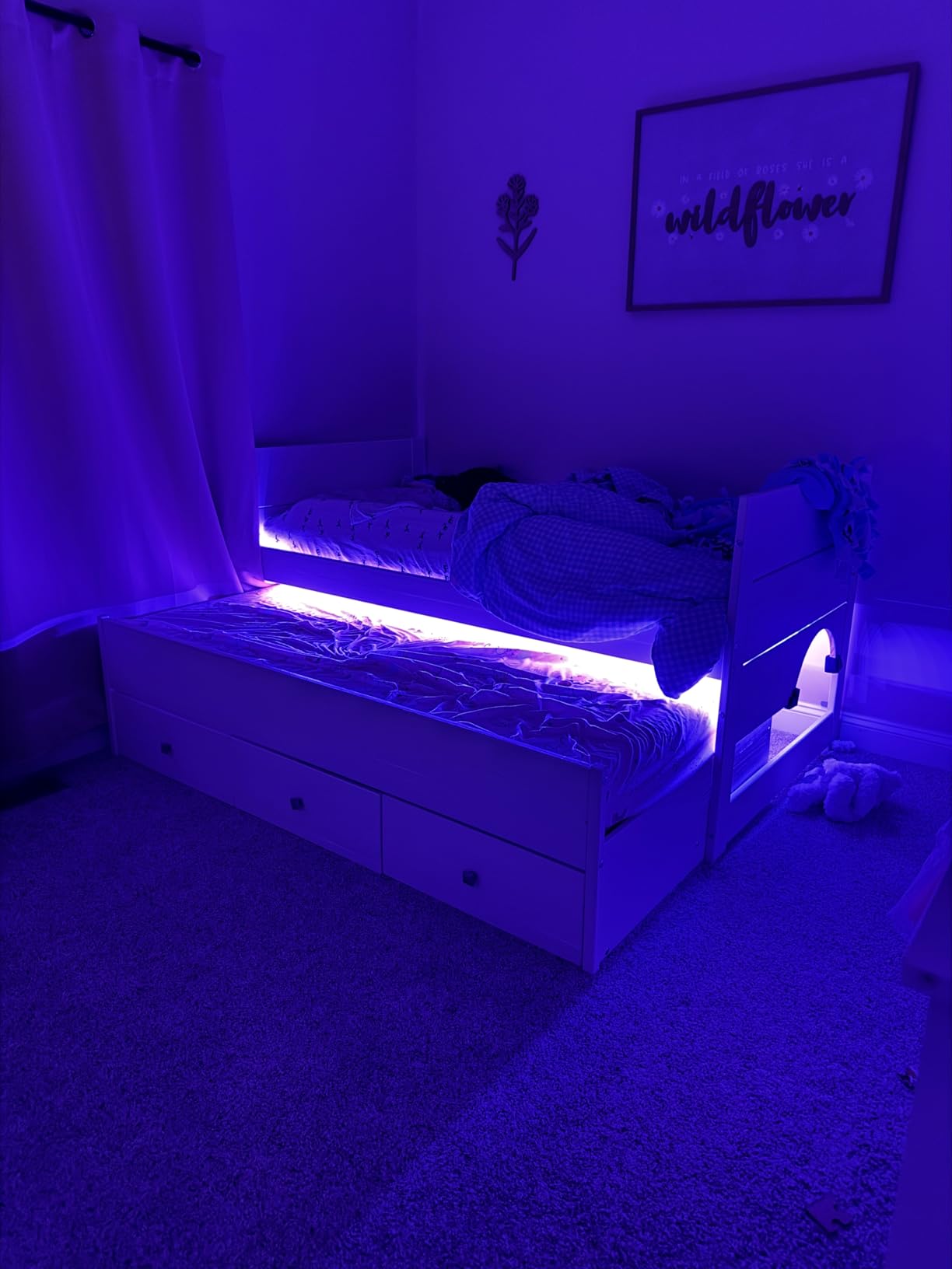 Govee RGBIC LED Strip Lights, 65.6ft Smart LED Lights for Bedroom, Bluetooth LED Strip Lights APP Control, DIY Multiple Colors on One Line, Color Changing LED Lights for Home Decor, 2 Rolls of 32.8ft - Customer Photo 1