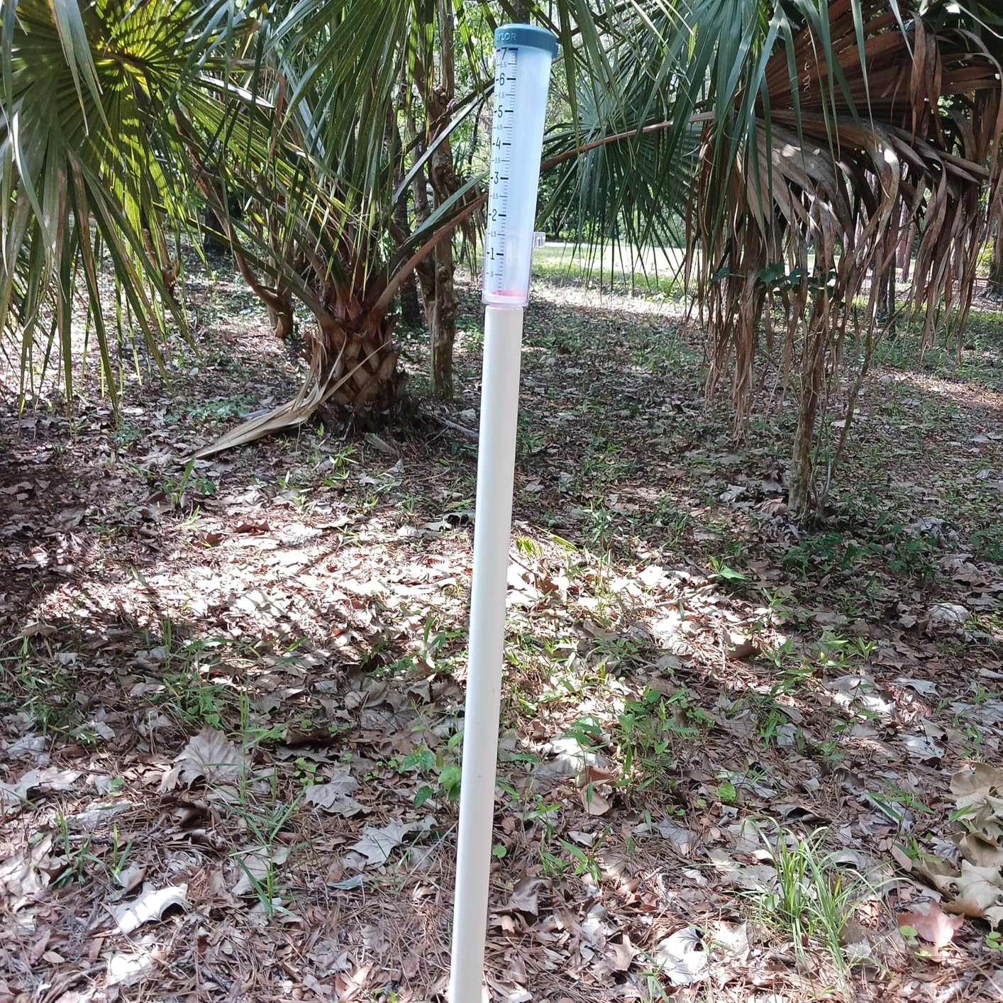 Taylor Capacity Break and Freeze Proof Flexible Silicone Rain Gauge, Measure and Monitor Precipitation, Easy to Read for Backyard, Patio, Garden, and Lawn, Post Mount or Ground Stake, 7-inch, Teal - Customer Photo 1