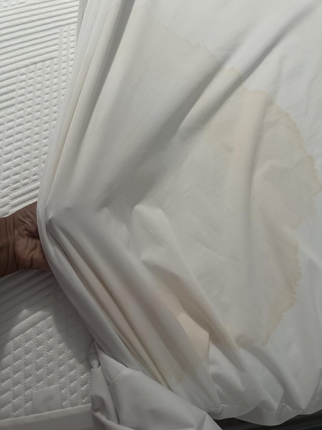 Guardmax Jersey Knitted Queen Zippered Mattress Encasement with Deep Pockets - Waterproof & Bed Bug Proof Mattress Protector - Comfortable, Soft, and Noiseless Zippered Bedding - (60 x 80 x 15) - Customer Photo 2