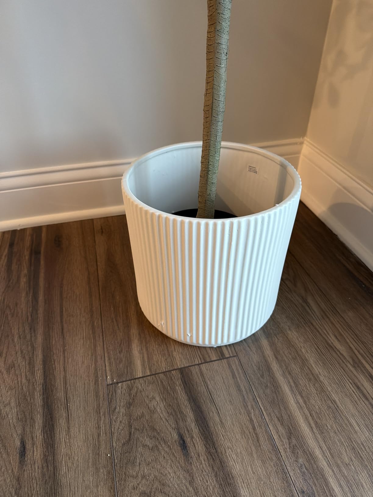 Amazon Basics Assorted Sizes Fluted Ceramic Round Indoor Outdoor Planters with Drainage Hole, Set of 3, Modern Design, 6 inch, 8 inch, 10 inch, White, Succulent Flower Pots Customer Review Amazon Basics Assorted Sizes Fluted Ceramic Round Indoor Outdoor Planters with Drainage Hole, Set of 3, Modern Design, 6 inch, 8 inch, 10 inch, White, Succulent Flower Pots - Customer Photo 2