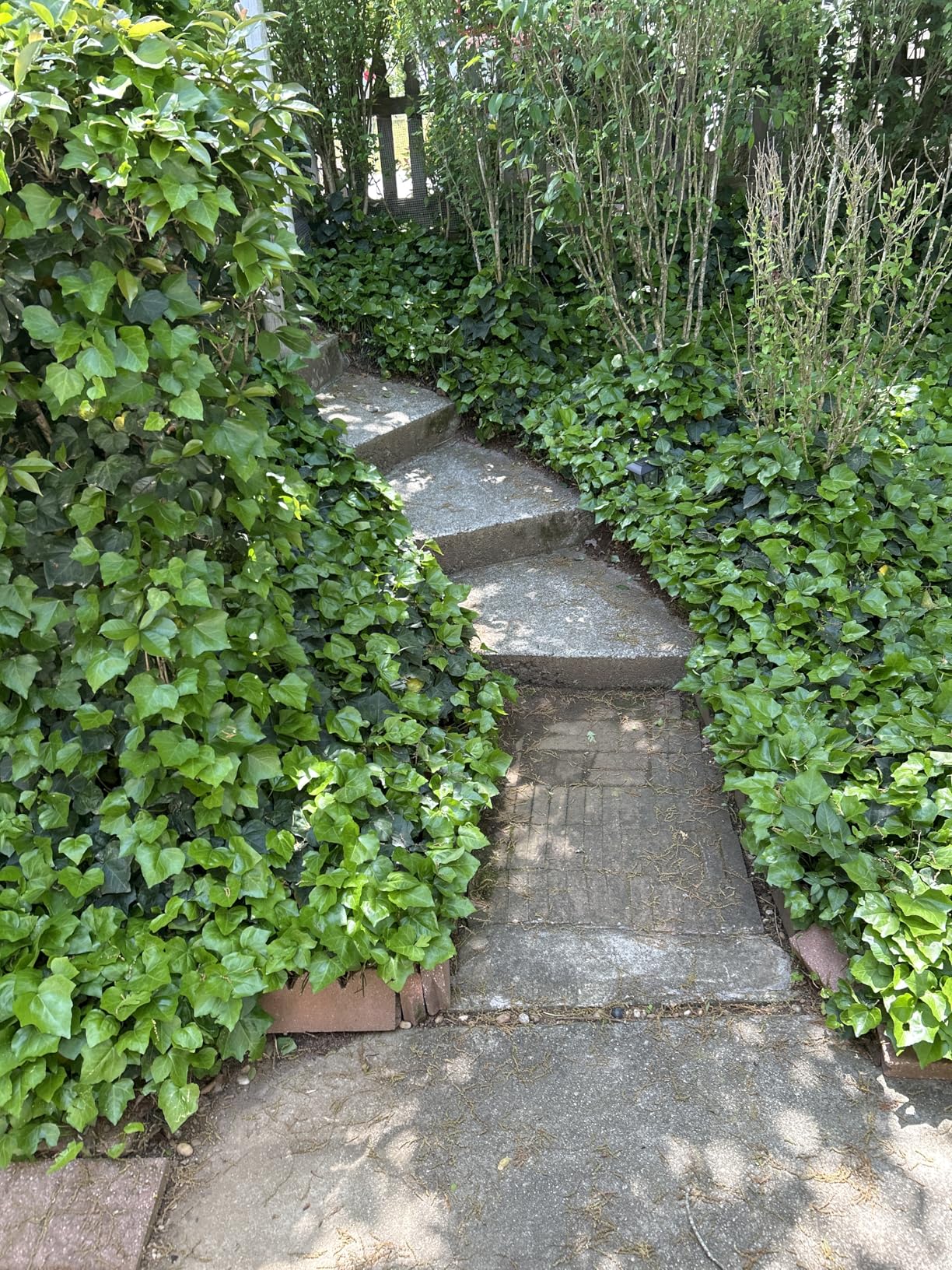 VIVOSUN 20