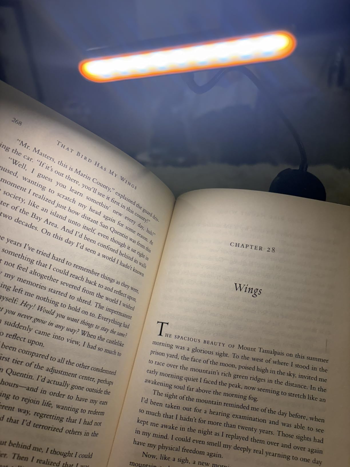Gritin Rechargeable Book Light for Reading in Bed with 19 LED &Memory Function-Eye Caring 3 Color Temperatures,5 Brightness Levels,90 Hrs Runtime Flexible Goose Neck Clip on Light for Book Lovers - Customer Photo 2