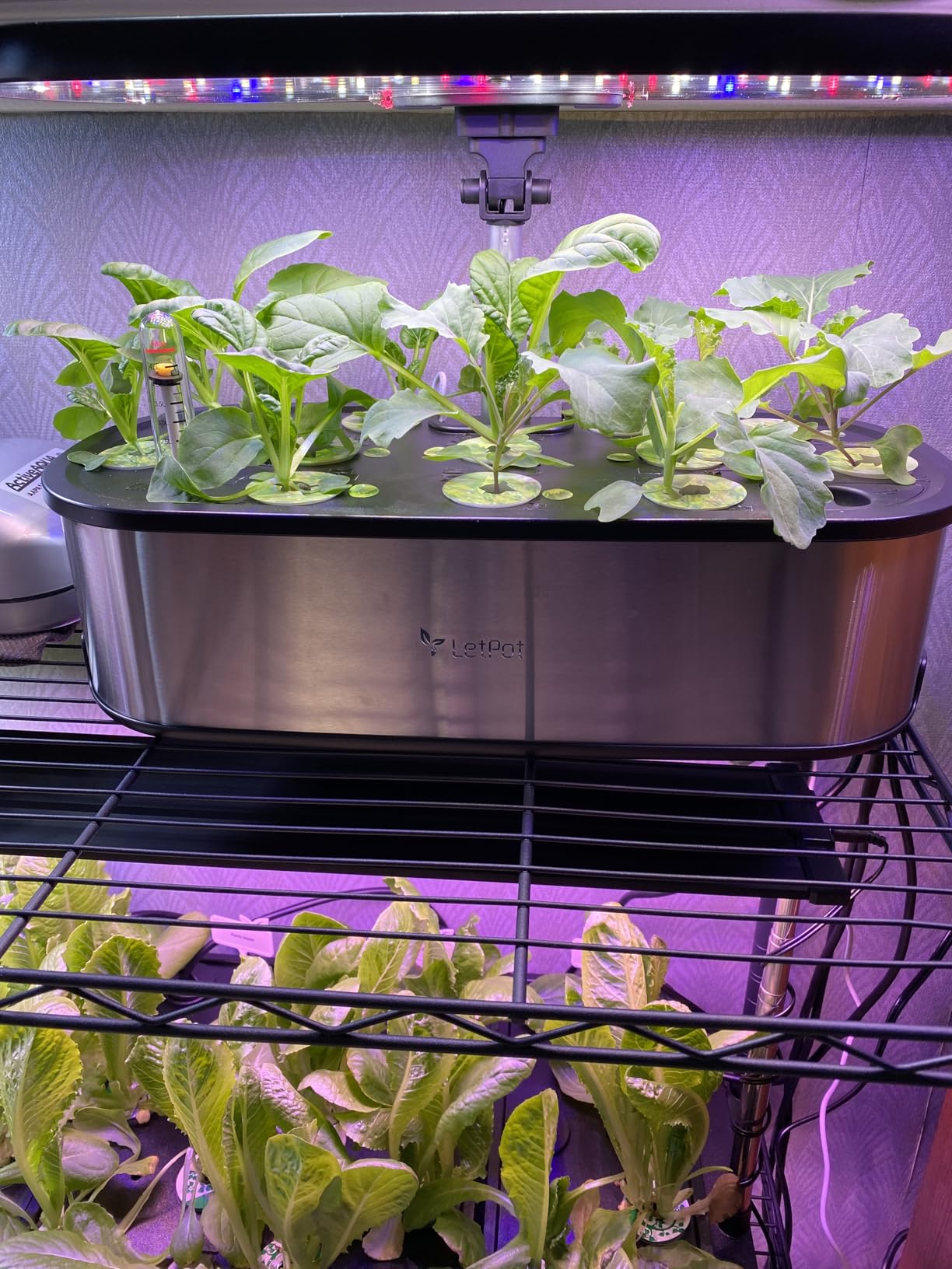 LetPot LPH-Max Hydroponics Growing System Kit, 21 Pods APP & WiFi Automatic Controlled Smart Indoor Garden with 36W LED Grow Light, Auto Drip Irrigation Kits, Self-Managed Nurturing & Watering - Customer Photo 2