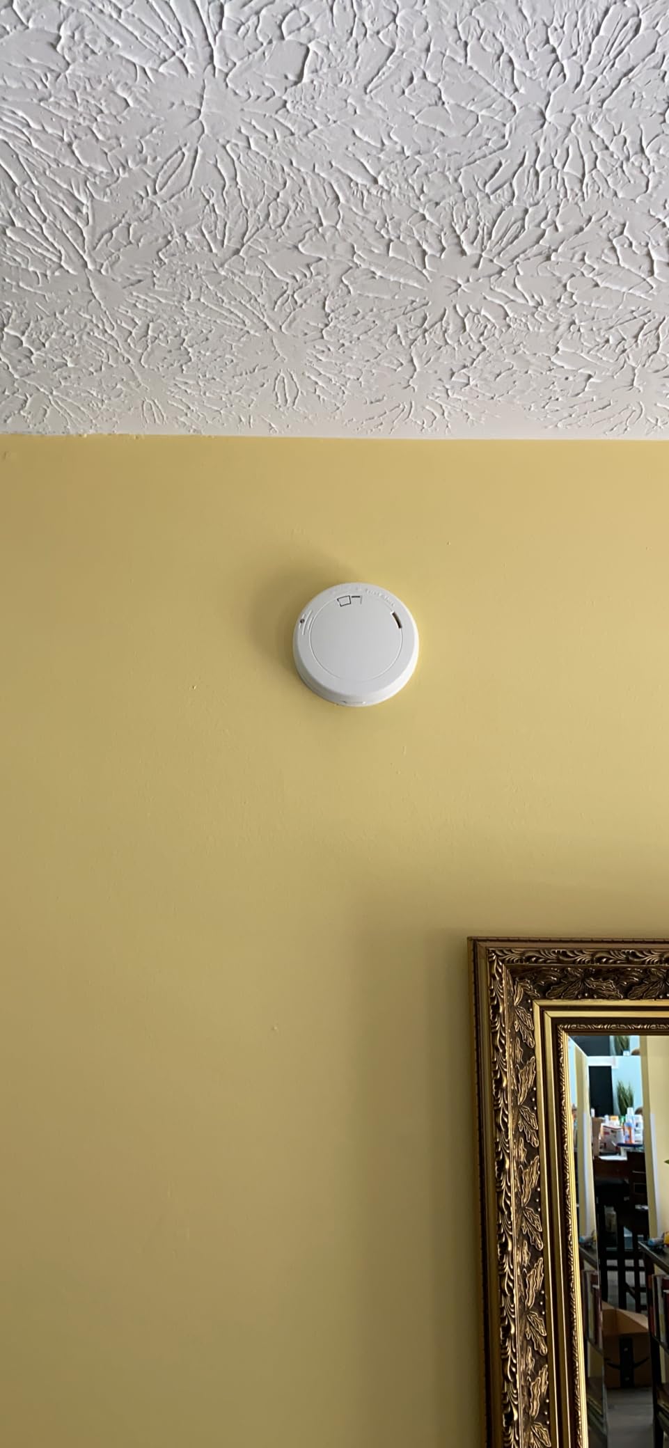 First Alert SM210, 10-Year Sealed Battery Smoke Alarm with Slim Profile Design, 1-Pack Customer Review First Alert SM210, 10-Year Sealed Battery Smoke Alarm with Slim Profile Design, 1-Pack - Customer Photo 1