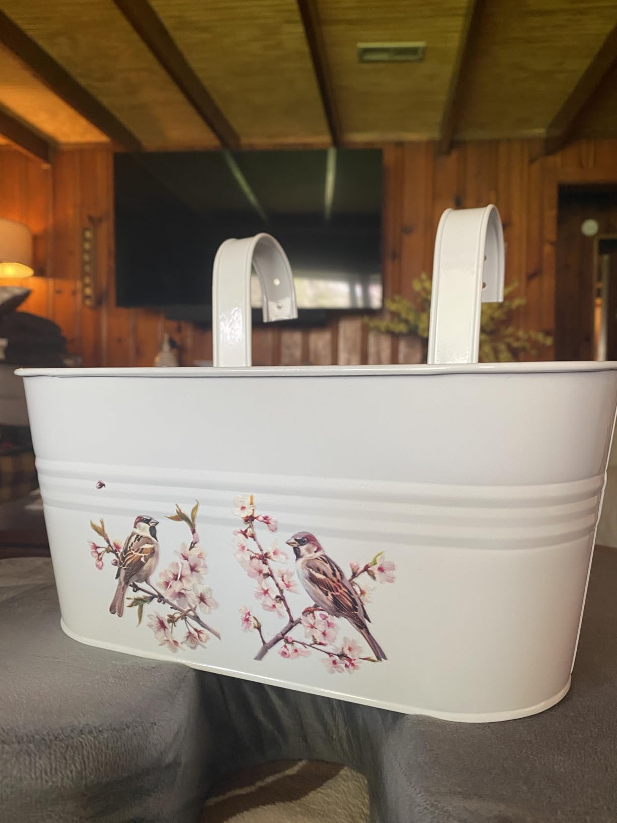 LaLaGreen Rail Planters for Outdoor (8 Pack, 11.2 Inch) White Metal Iron Hanging Flower Pots, Strawberry Planter Deck Railing Fence Bucket Modern Stylish Wall Mount Window Box Plant Holder Porch Decor Customer Review LaLaGreen Rail Planters for Outdoor (8 Pack, 11.2 Inch) White Metal Iron Hanging Flower Pots, Strawberry Planter Deck Railing Fence Bucket Modern Stylish Wall Mount Window Box Plant Holder Porch Decor - Customer Photo 1