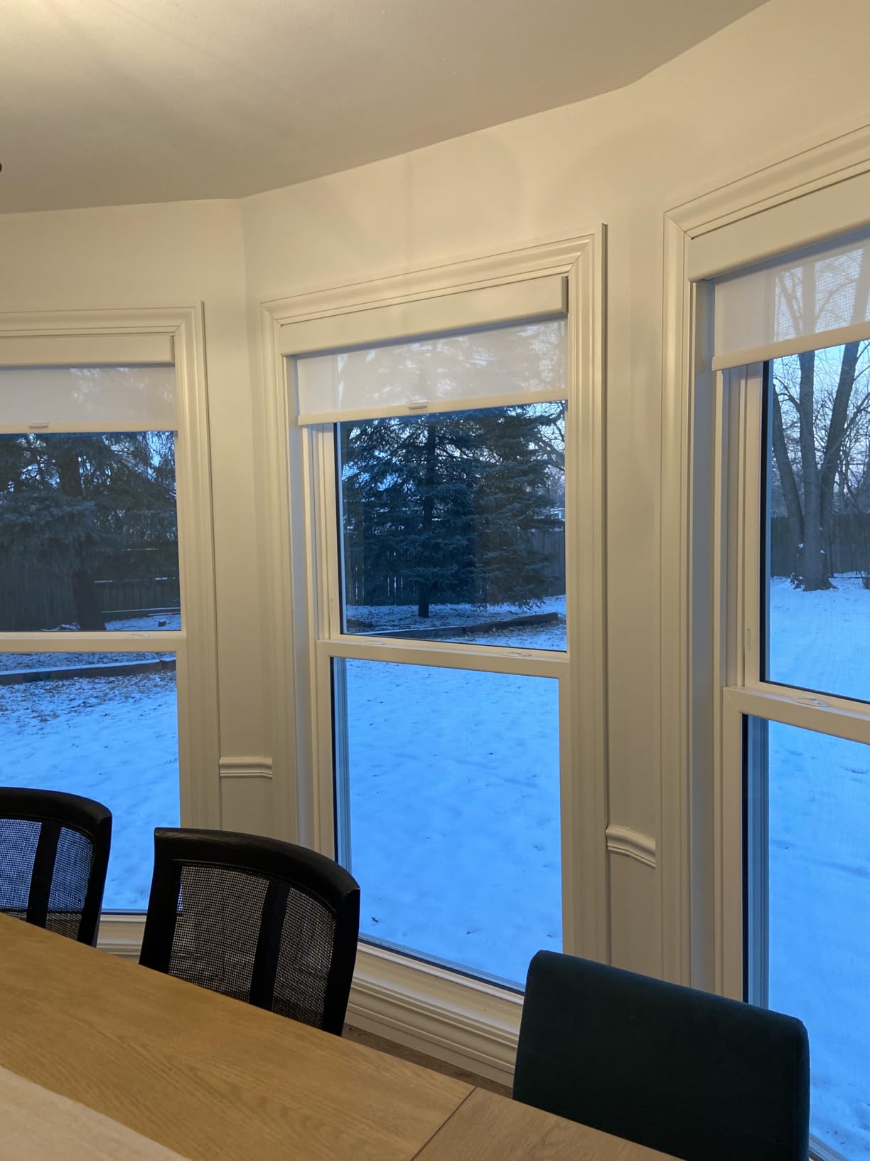 Persilux Free-Stop Cordless Solar Window Shades Light Filtering Roller Shades for Windows, 5% Openness UV Protection View Through Customer Review Persilux Free-Stop Cordless Solar Window Shades Light Filtering Roller Shades for Windows, 5% Openness UV Protection View Through - Customer Photo 1