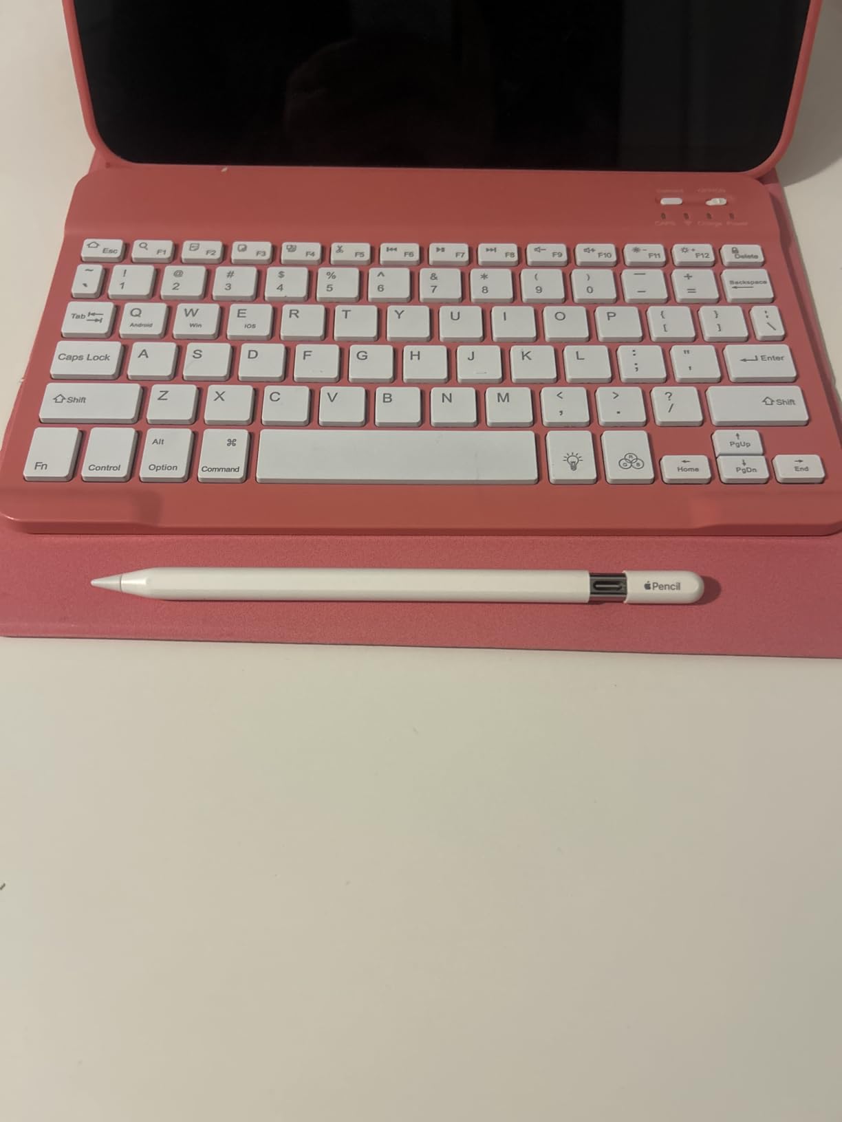 Apple Pencil (USB-C): Device Compatibility Check Required - Pixel-Perfect Precision, Tilt Sensitivity, Perfect for Note-Taking, Drawing, and Signing Documents. Charges and Pairs with USB-C Customer Review Apple Pencil (USB-C): Device Compatibility Check Required - Pixel-Perfect Precision, Tilt Sensitivity, Perfect for Note-Taking, Drawing, and Signing Documents. Charges and Pairs with USB-C - Customer Photo 1