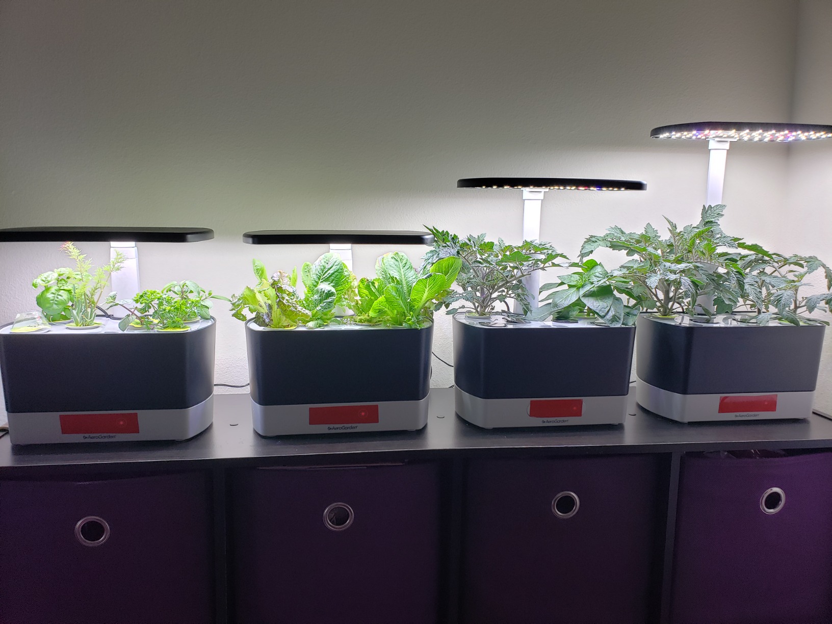 AeroGarden Harvest Lite in Cream, Soil-Free Indoor Hydroponic Garden with LED Grow Light for Year-Round Gardening of up to 6 Herbs and Vegetables - Customer Photo 1