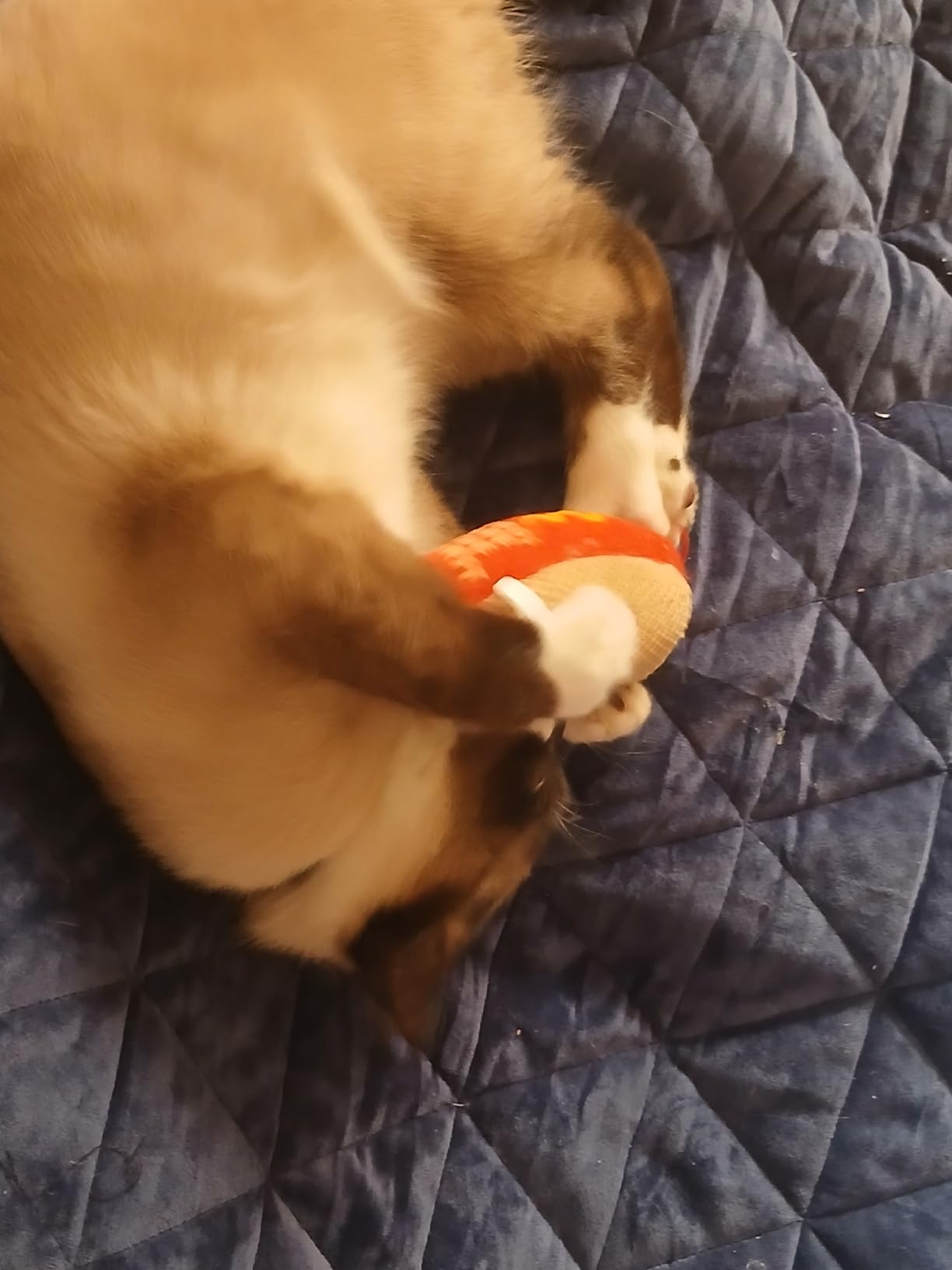 Catstages Hotdog Kicker Toy with Catnip and Dental Mesh, Hot Dog Shape, Plush and Feather Cat Toy for Kicking, Tossing, and Teeth Cleaning, Brown - Customer Photo 1