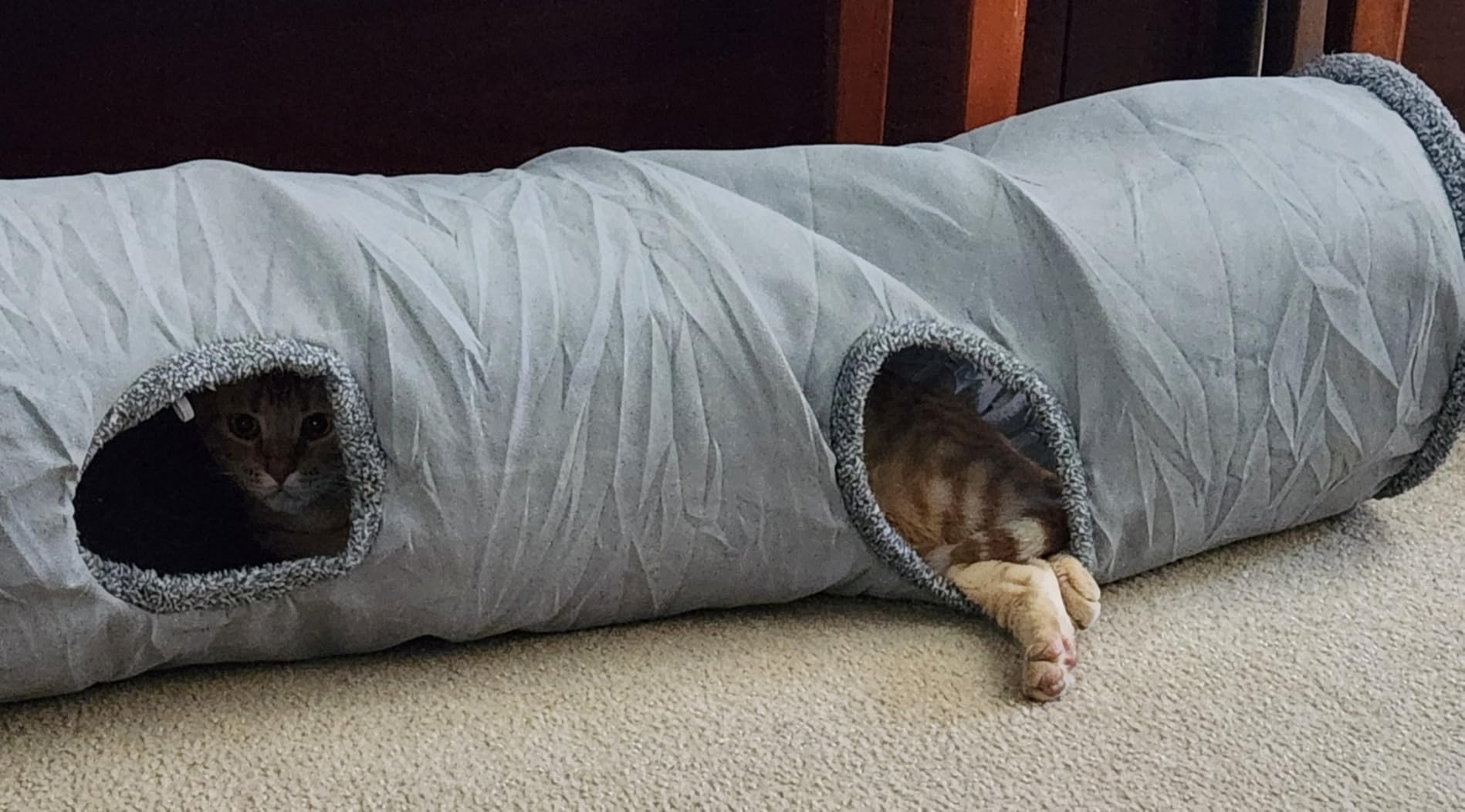 KOSMUSMO 51 Inches Extra Long Cat Tunnels for Indoor Cats, Collapsible Pet Play Tube with Cat Toys and Two Peek Holes, Cat Hideout Hideaway for Big Cats, Kittens, Bunny Rabbits, Ferrets, Puppy - Customer Photo 2