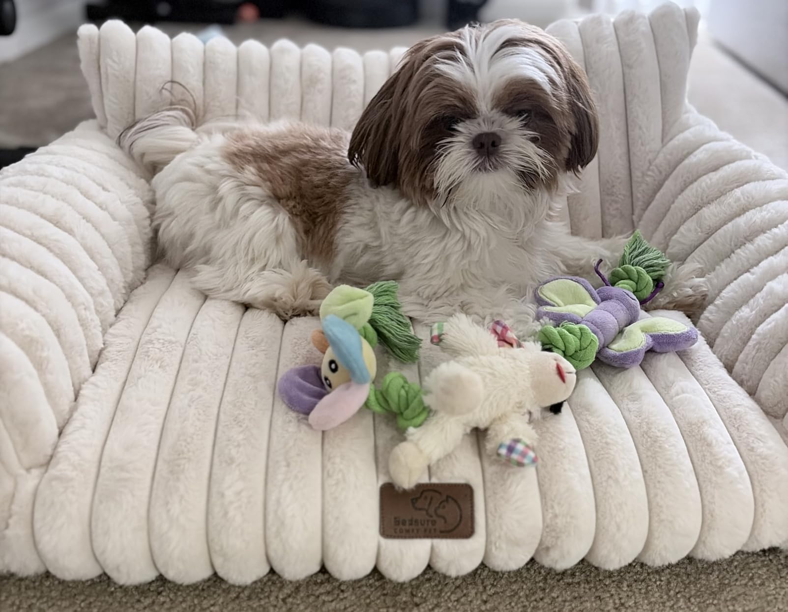 Bedsure ComfyFleece™ Cute Cat Couch for Pets - As Seen on TV on Good Day New York, Fuzzy Cats beds for Indoor Cats with Removable Washable Cover, Supportive Pet Sofa Customer Review Bedsure ComfyFleece™ Cute Cat Couch for Pets - As Seen on TV on Good Day New York, Fuzzy Cats beds for Indoor Cats with Removable Washable Cover, Supportive Pet Sofa - Customer Photo 2