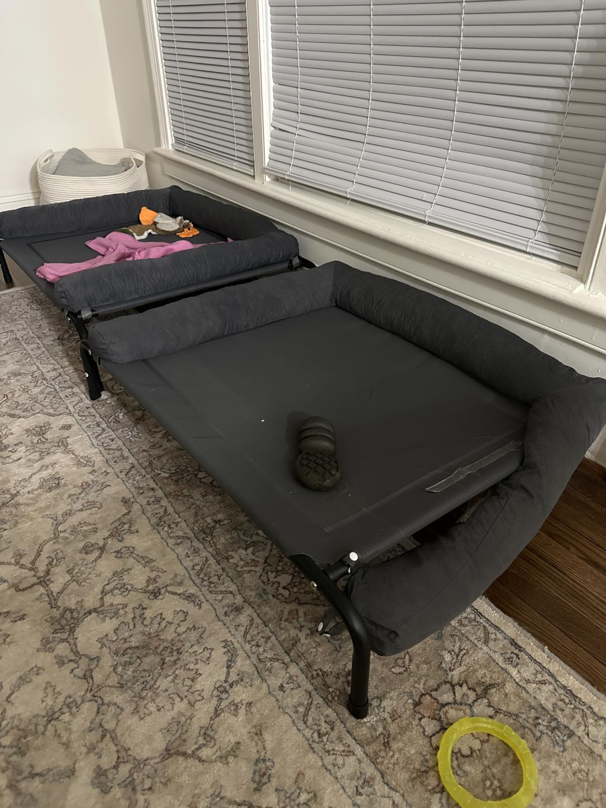 WESTERN HOME Cooling Elevated Dog Bed for Large Dogs, Portable Indoor & Outdoor Raised Dog Bed with Breathable Mesh, Chew Proof Pet Hammock Cots with Removable and Waterproof Bolsters Customer Review WESTERN HOME Cooling Elevated Dog Bed for Large Dogs, Portable Indoor & Outdoor Raised Dog Bed with Breathable Mesh, Chew Proof Pet Hammock Cots with Removable and Waterproof Bolsters - Customer Photo 1