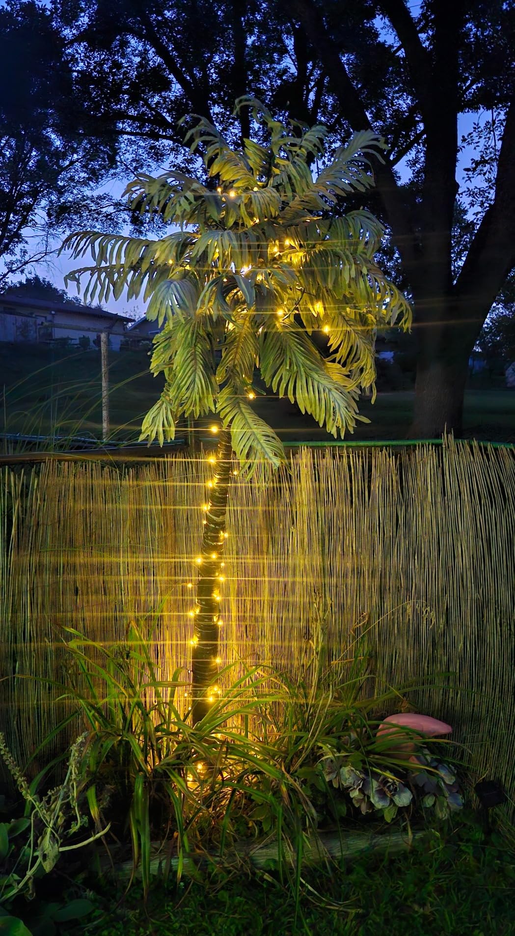 Solar String Lights Outdoor, 2 Pack 33FT 100 LEDs Solar Powered Rope Lights with 8 Lighting Modes, Waterproof Solar String Lights for Outside, Christmas, Holiday (Multicolor) Customer Review Solar String Lights Outdoor, 2 Pack 33FT 100 LEDs Solar Powered Rope Lights with 8 Lighting Modes, Waterproof Solar String Lights for Outside, Christmas, Holiday (Multicolor) - Customer Photo 1