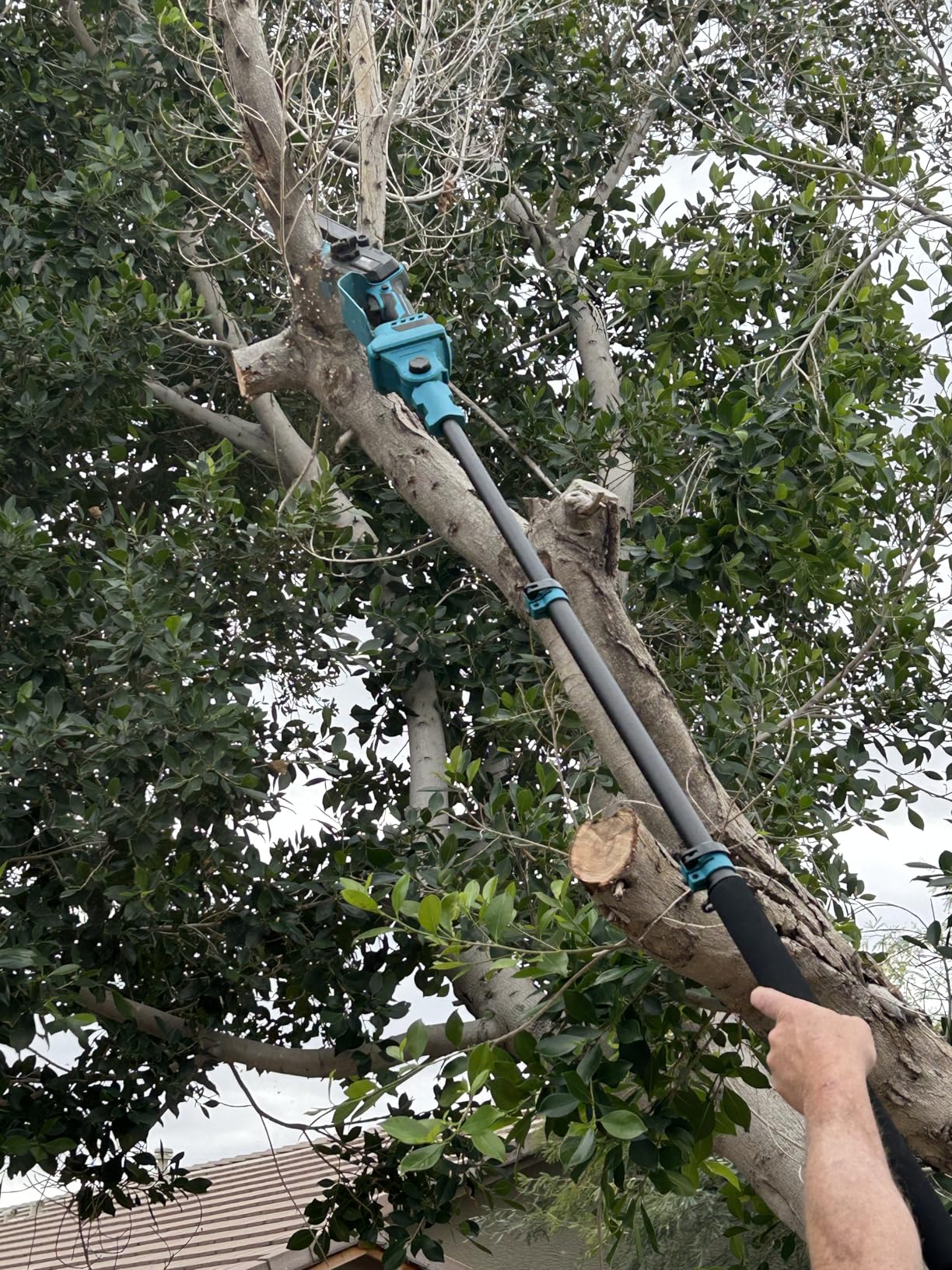 SEESII 2-in-1 Electric Pole Saws for Tree Trimming, 6 Inch Mini Chainsaw Cordless with Extension Pole, Battery Powered Pole Chain Saw, Tree Trimmer Limb Branch Cutter Pruner with 2 Battery PS600 customer photo 1
